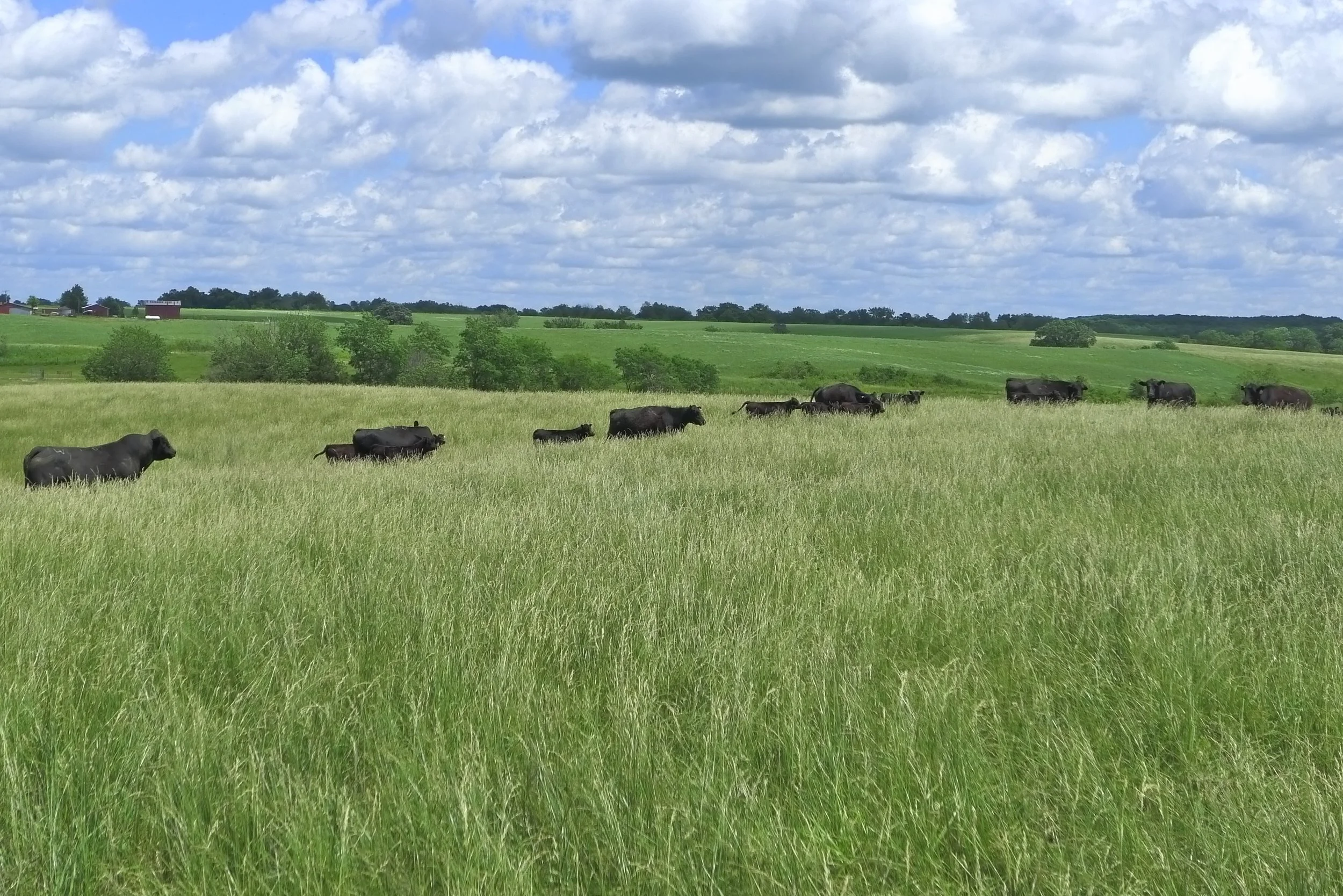 Under the Iowa Sky: Rev. Jesse Jackson &amp; Dixon Terry