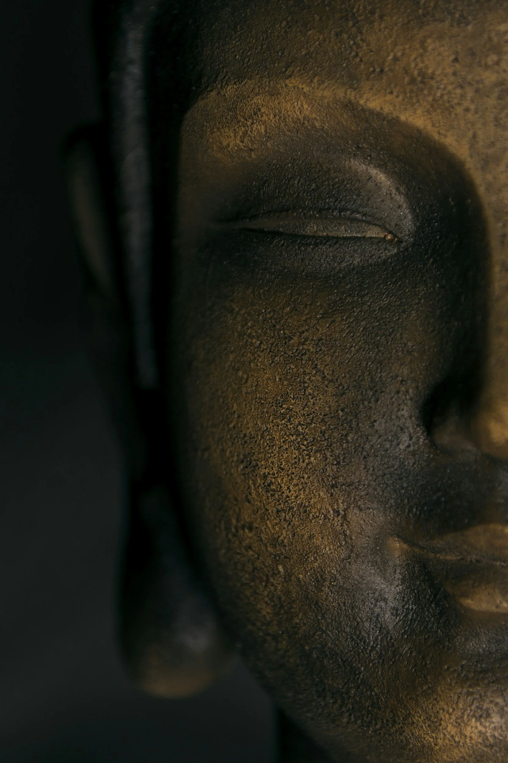 What Did Buddha Say?