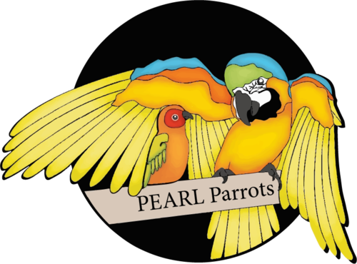 pearl-parrot-rescue.png