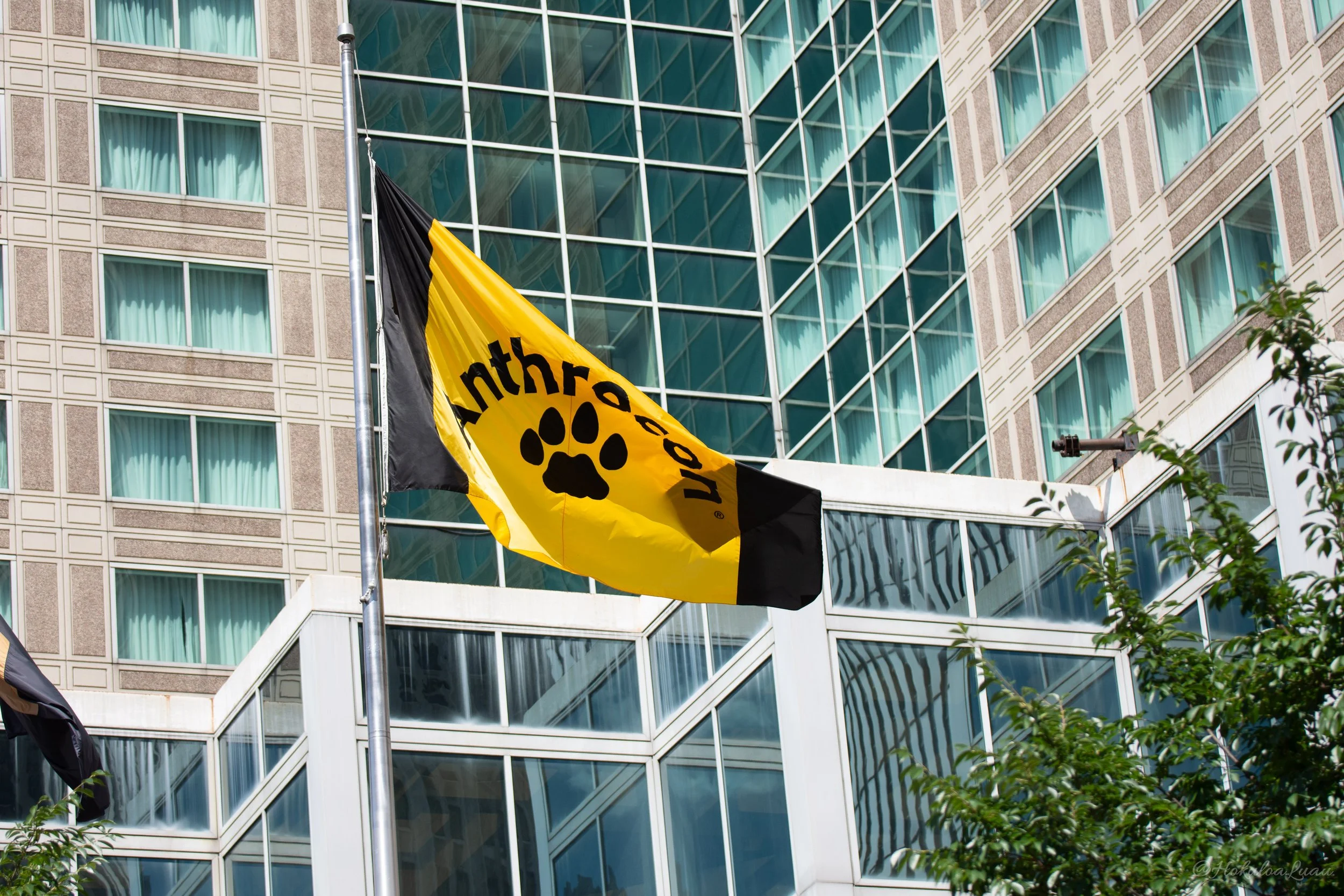 History — Anthrocon 2024 AnthroCoaster July 47, 2024