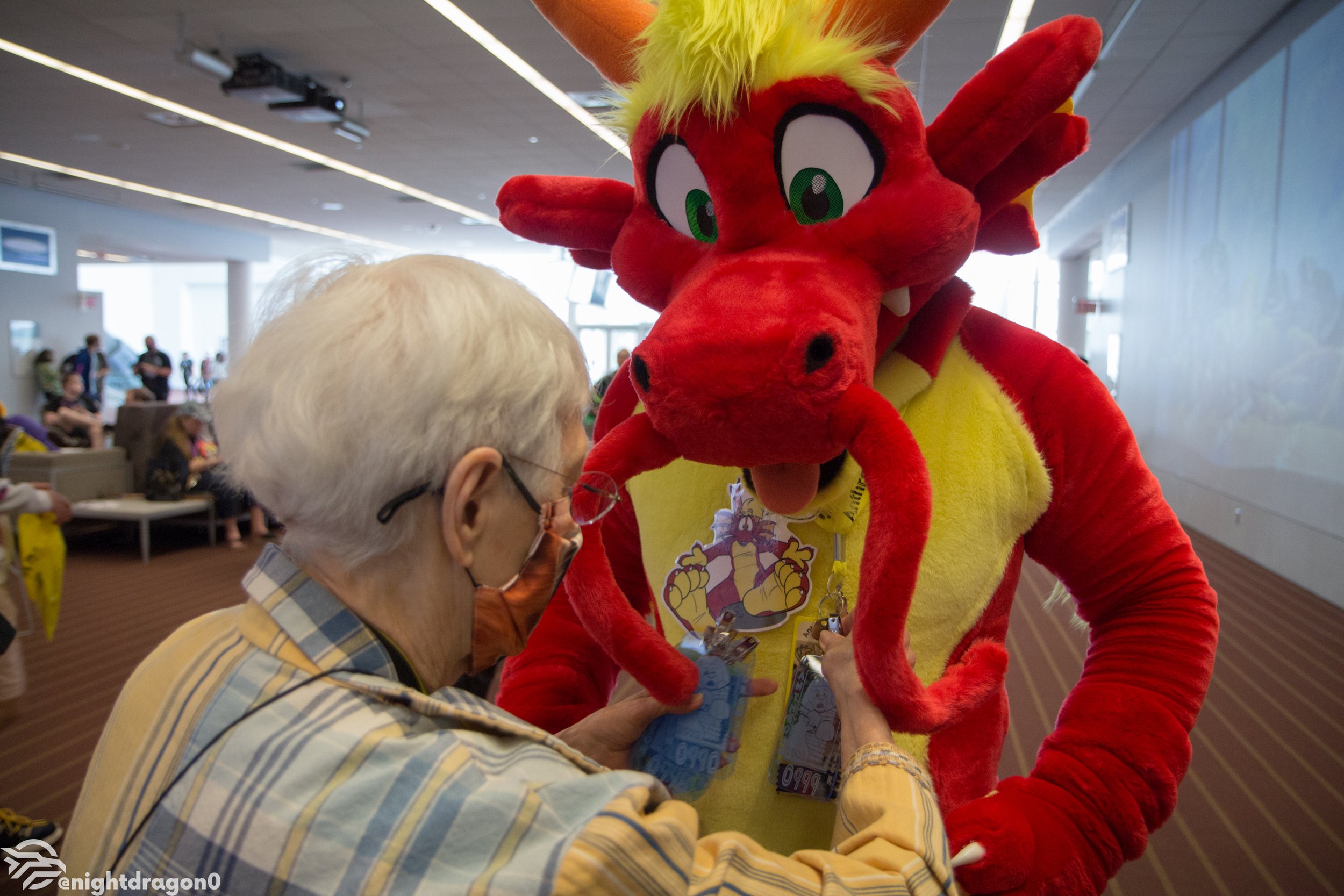 Volunteer — Anthrocon 2024 AnthroCoaster July 47, 2024