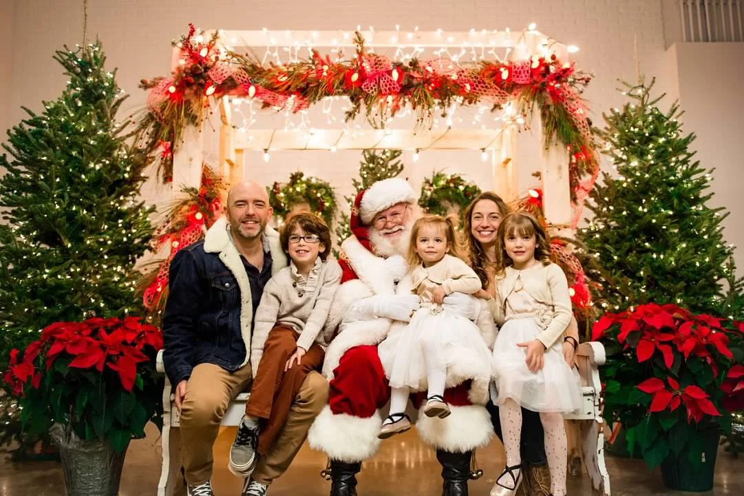 Ivy Christmas photo 2017.jpg