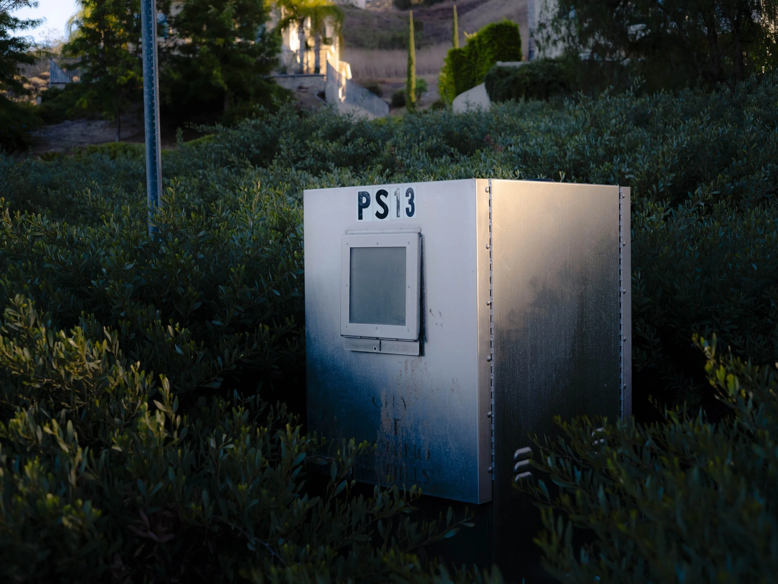 _DSF1630.JPG