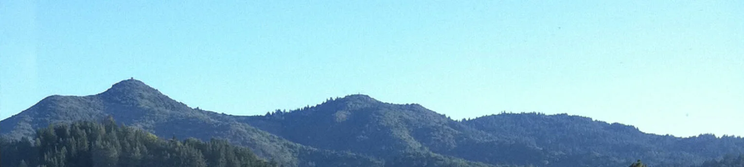 San Anselmo Office Suite Views.jpg