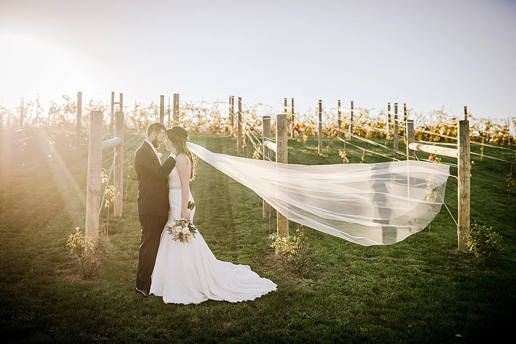 Folino-Estates-Winery-Wedding-Photographer_0020.jpg