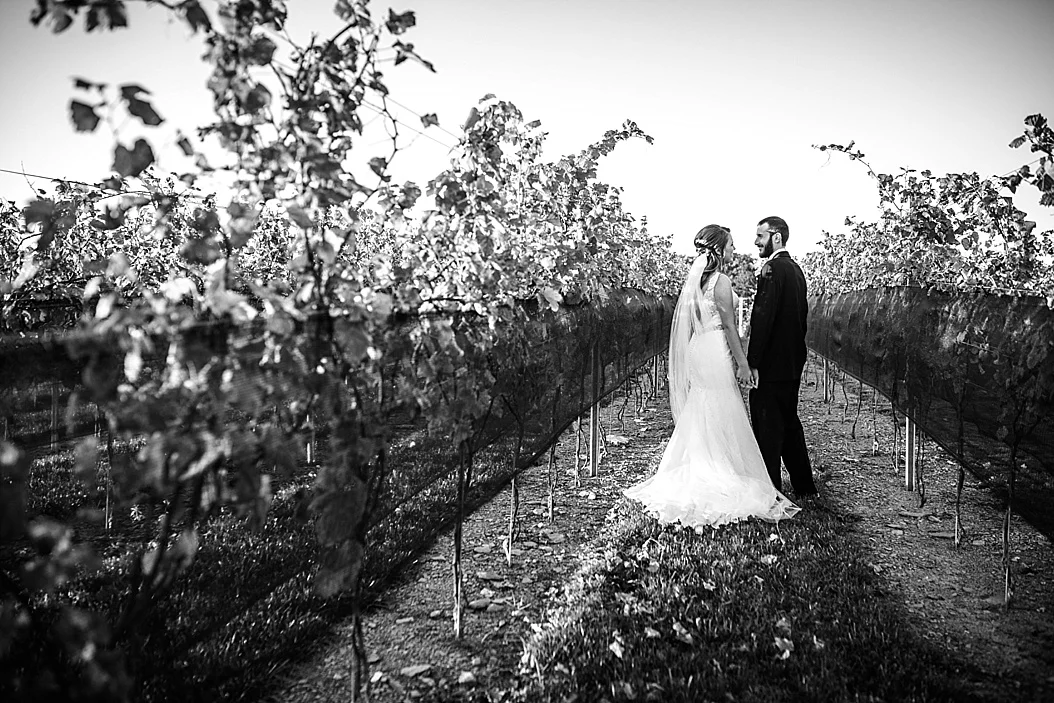 Folino-Estates-Winery-Wedding-Photographer_0031.jpg