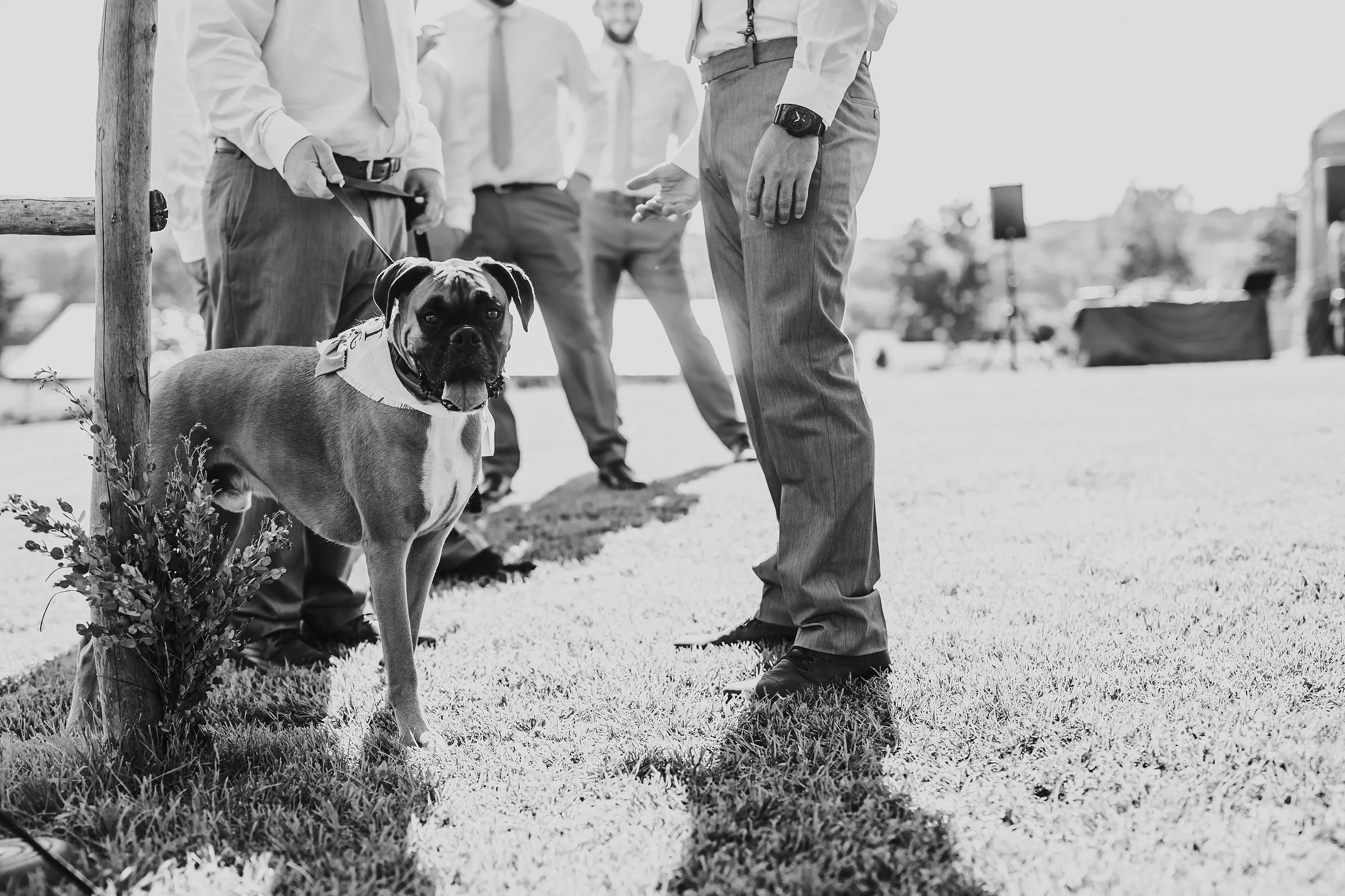 Gilbertsville-Farmhouse-Wedding-Photographer_0074.jpg