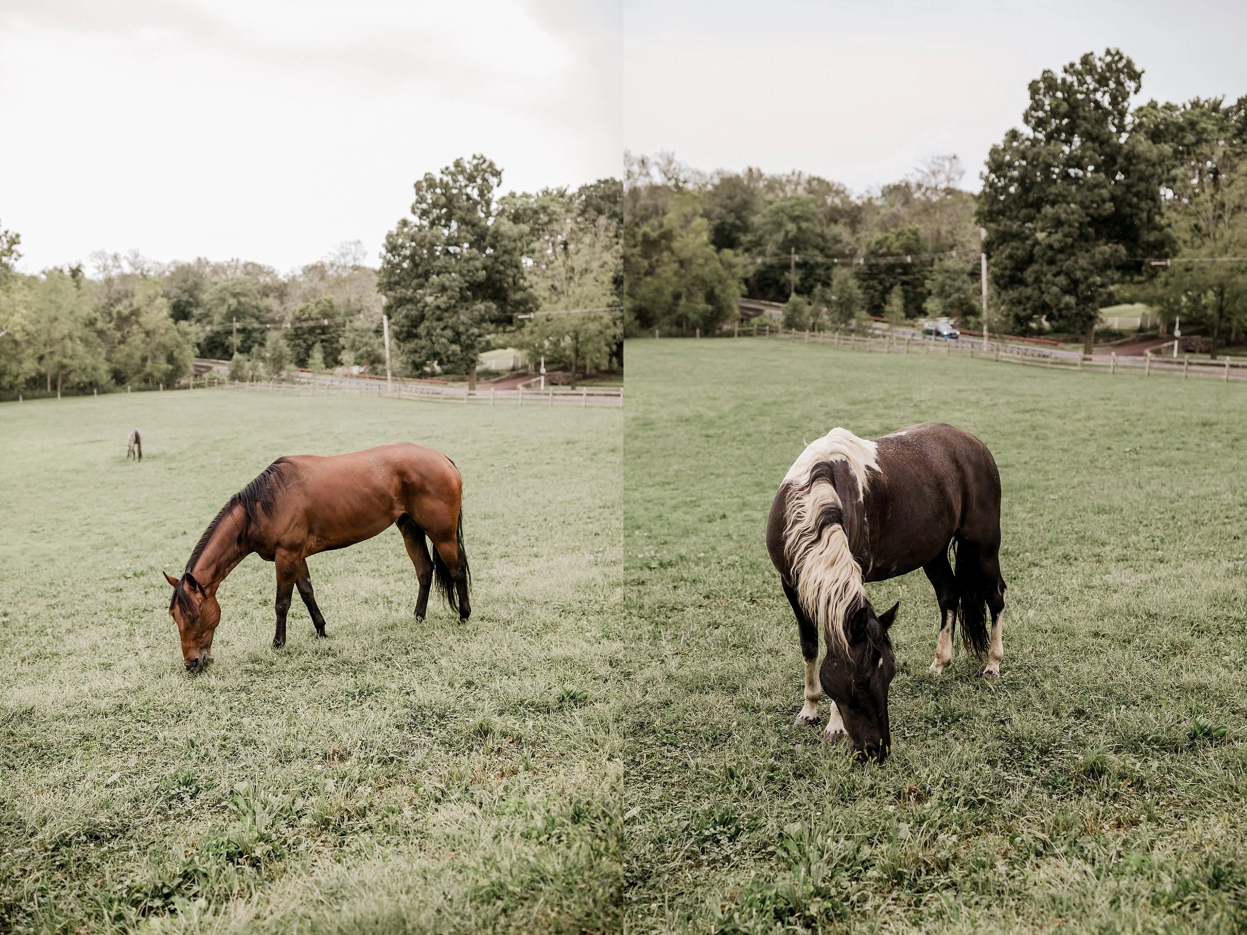 Durham-Hill-Farm-Wedding-Photographer_0098.jpg