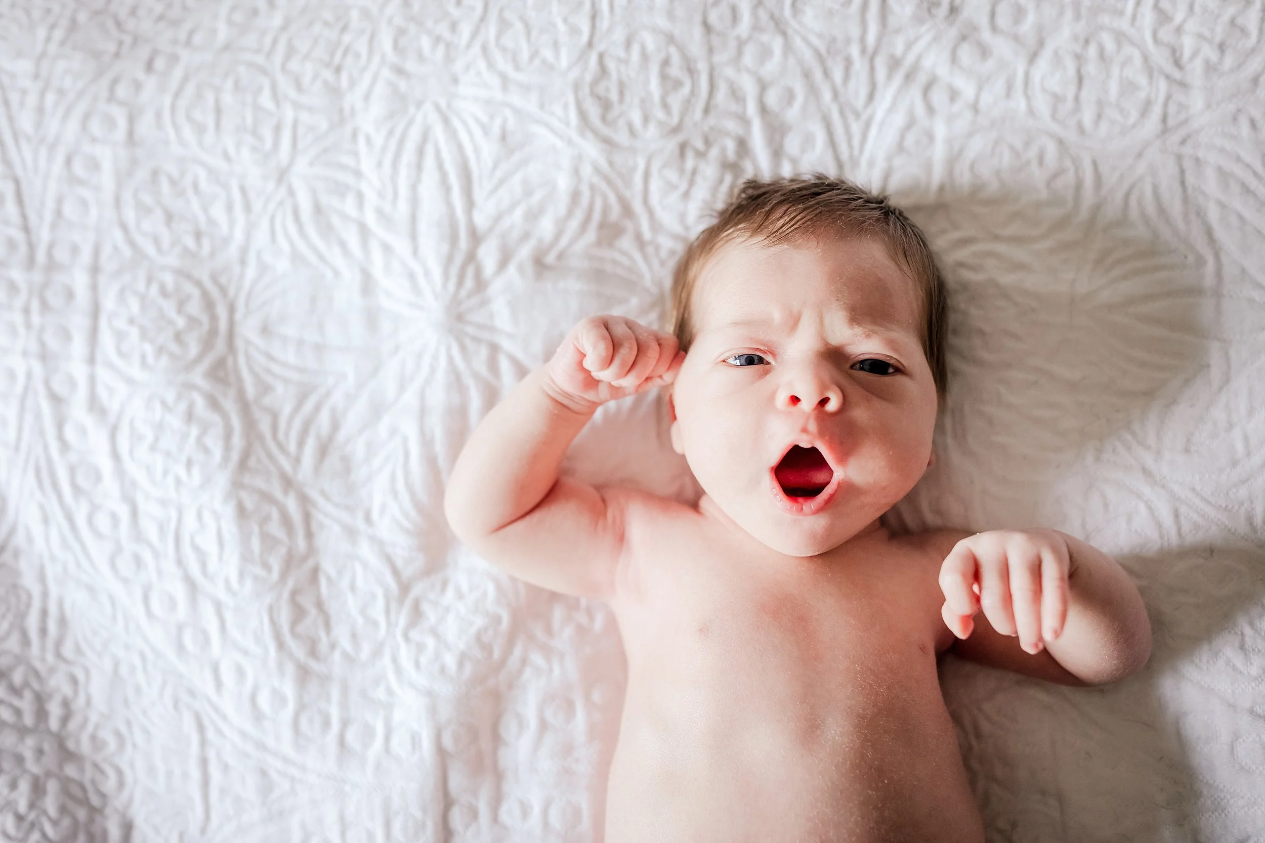 Lehigh-Valley-Newborn-Photographer_0023.jpg