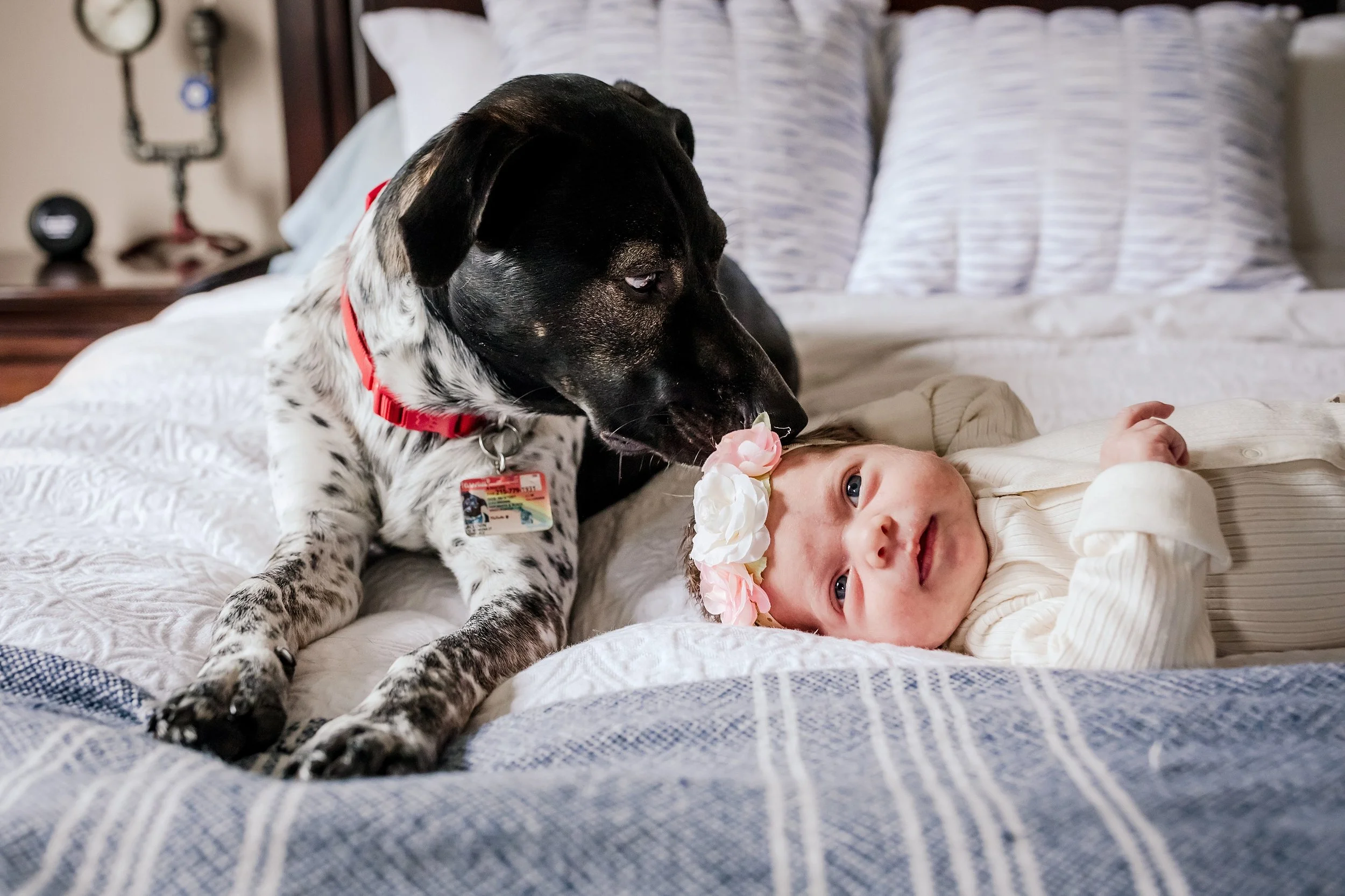 Lehigh-Valley-Newborn-Photographer_0018.jpg