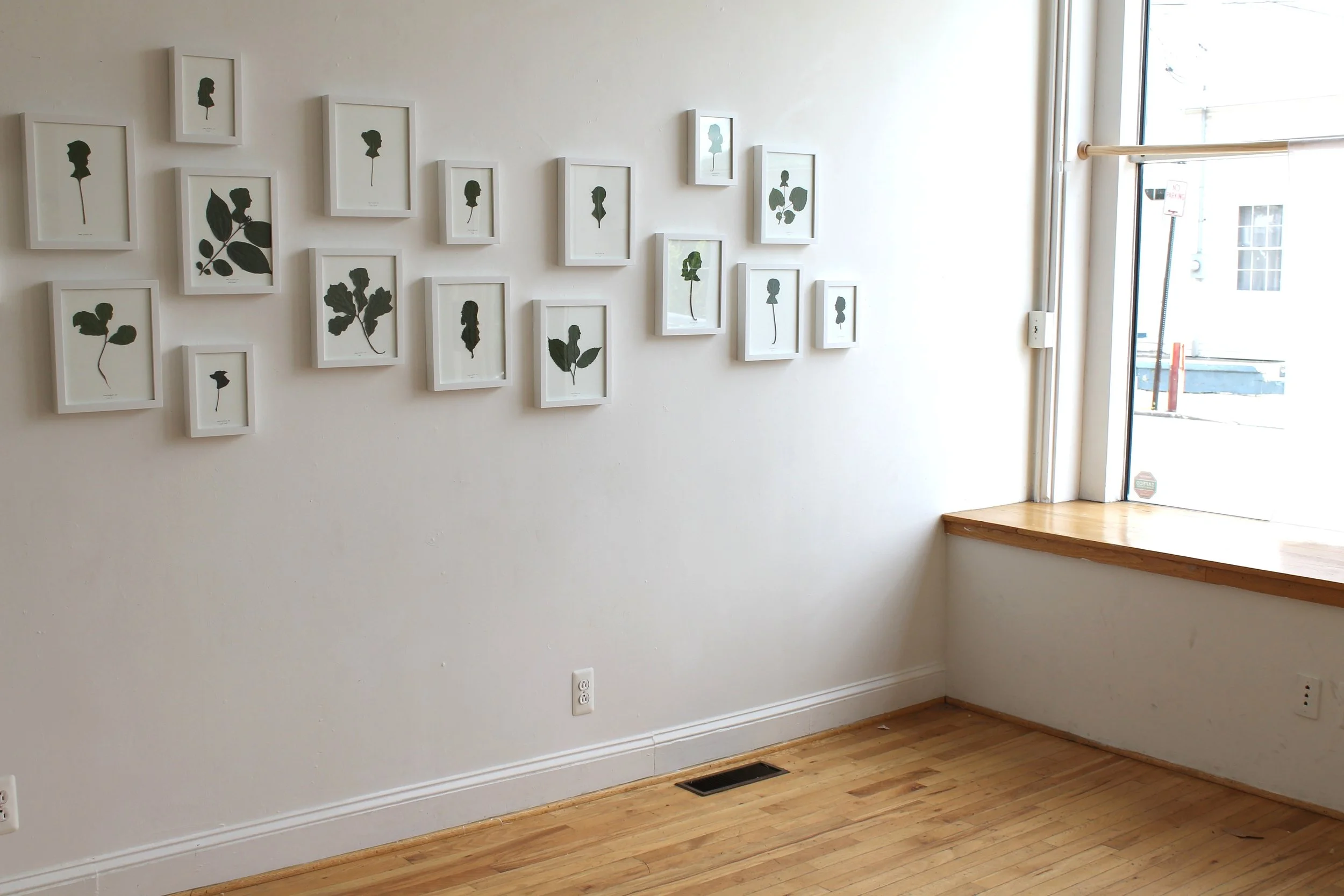 jlf leaves gallery.JPG