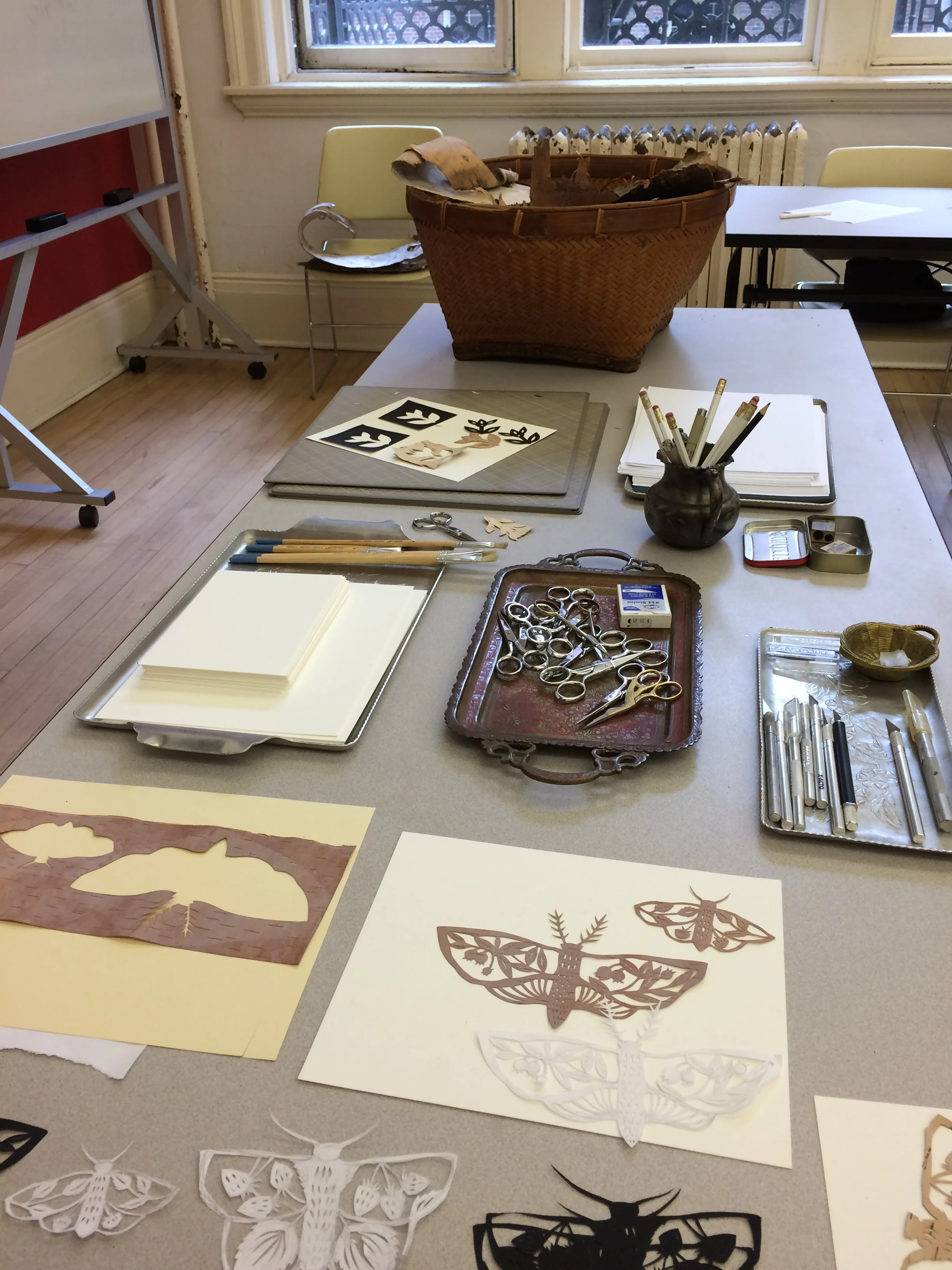 workshop spread birch.JPG