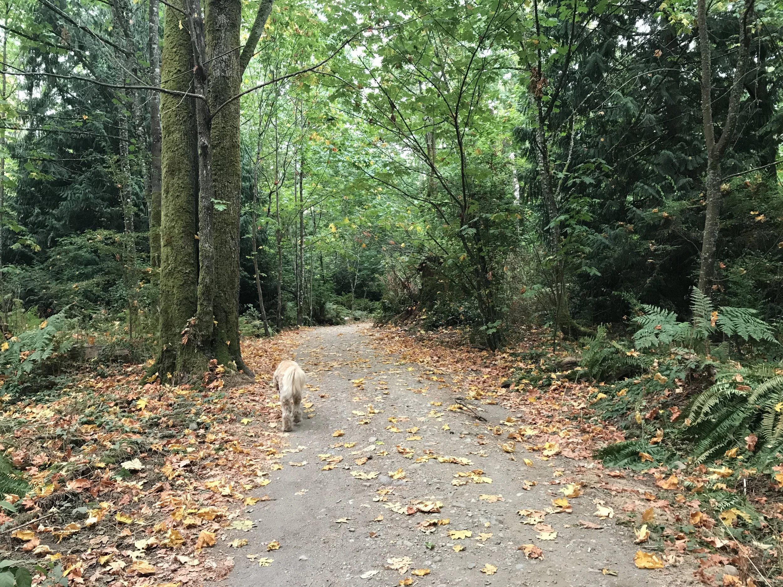 On Going Where the Path is Open