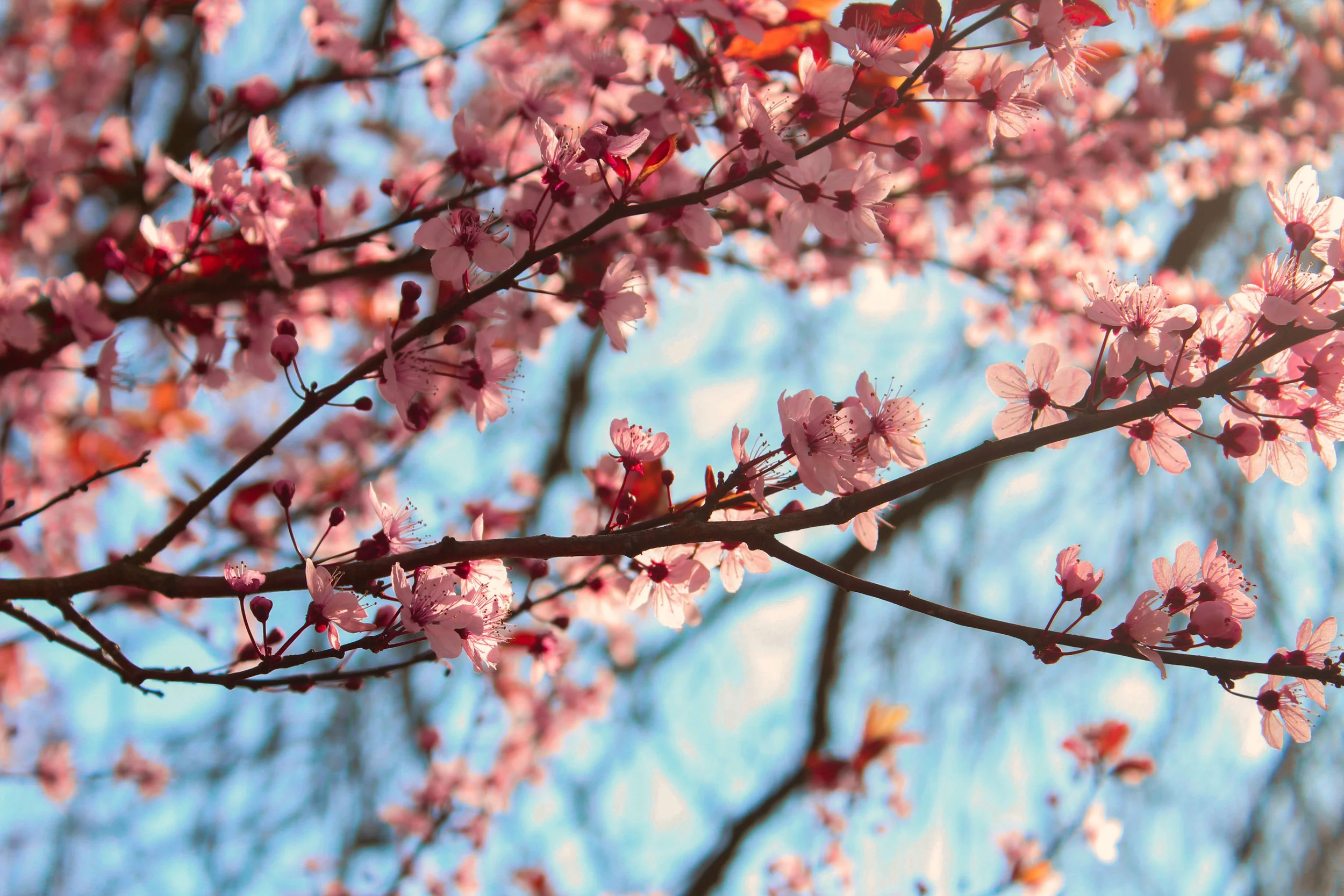 Spring Workshop!