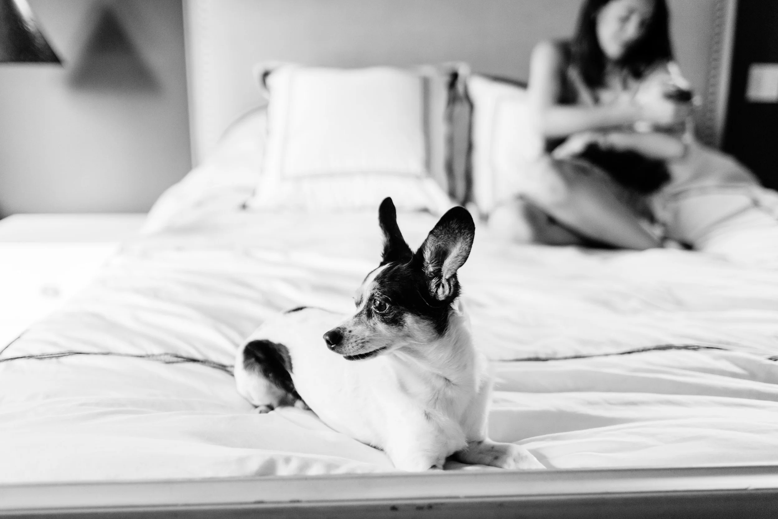 HuxleyEllaSwanNewbornPhotos-LosAngelesLauraPedrinoPhotographer-118.jpg