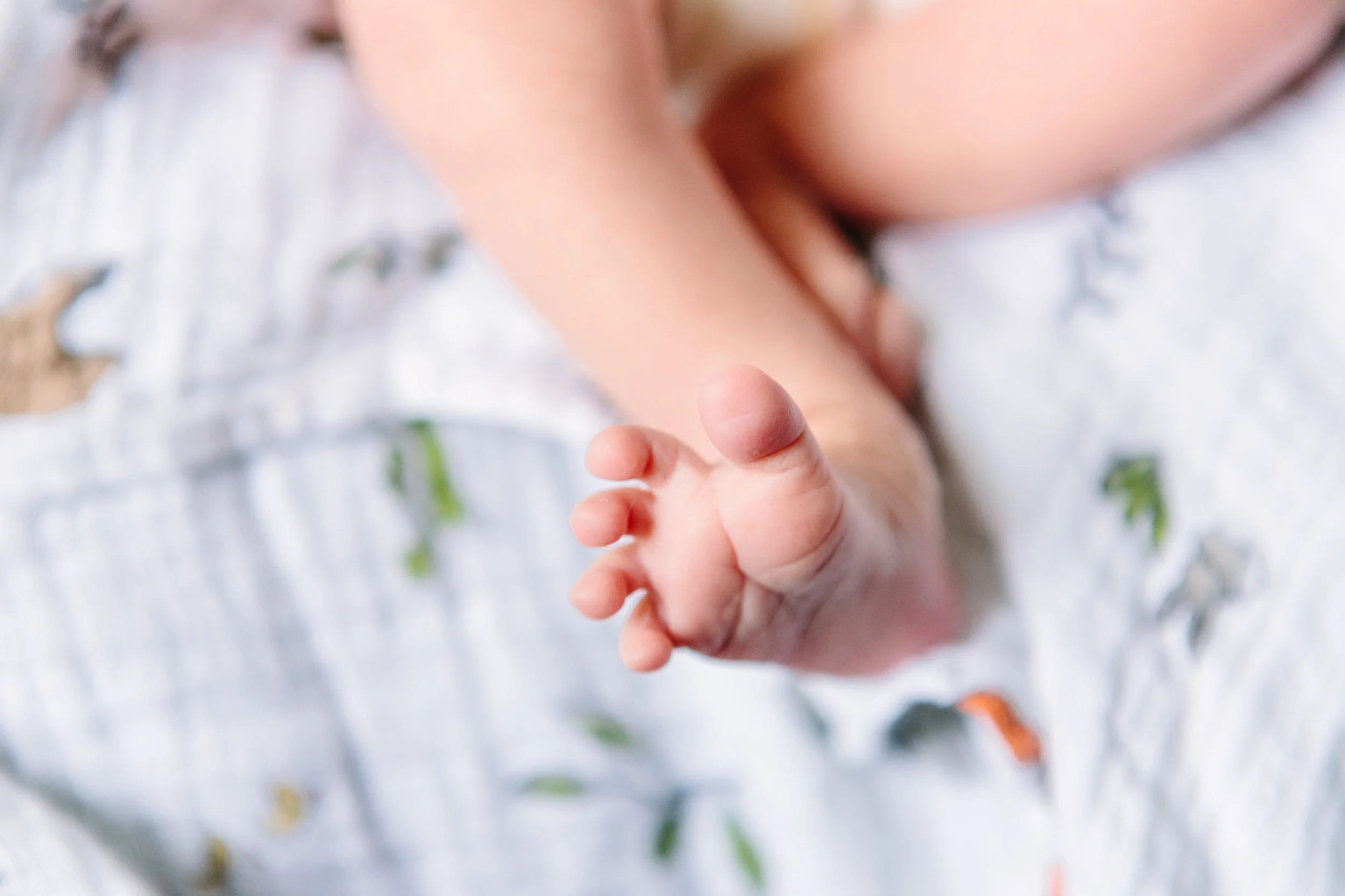 HuxleyEllaSwanNewbornPhotos-LosAngelesLauraPedrinoPhotographer-32.jpg