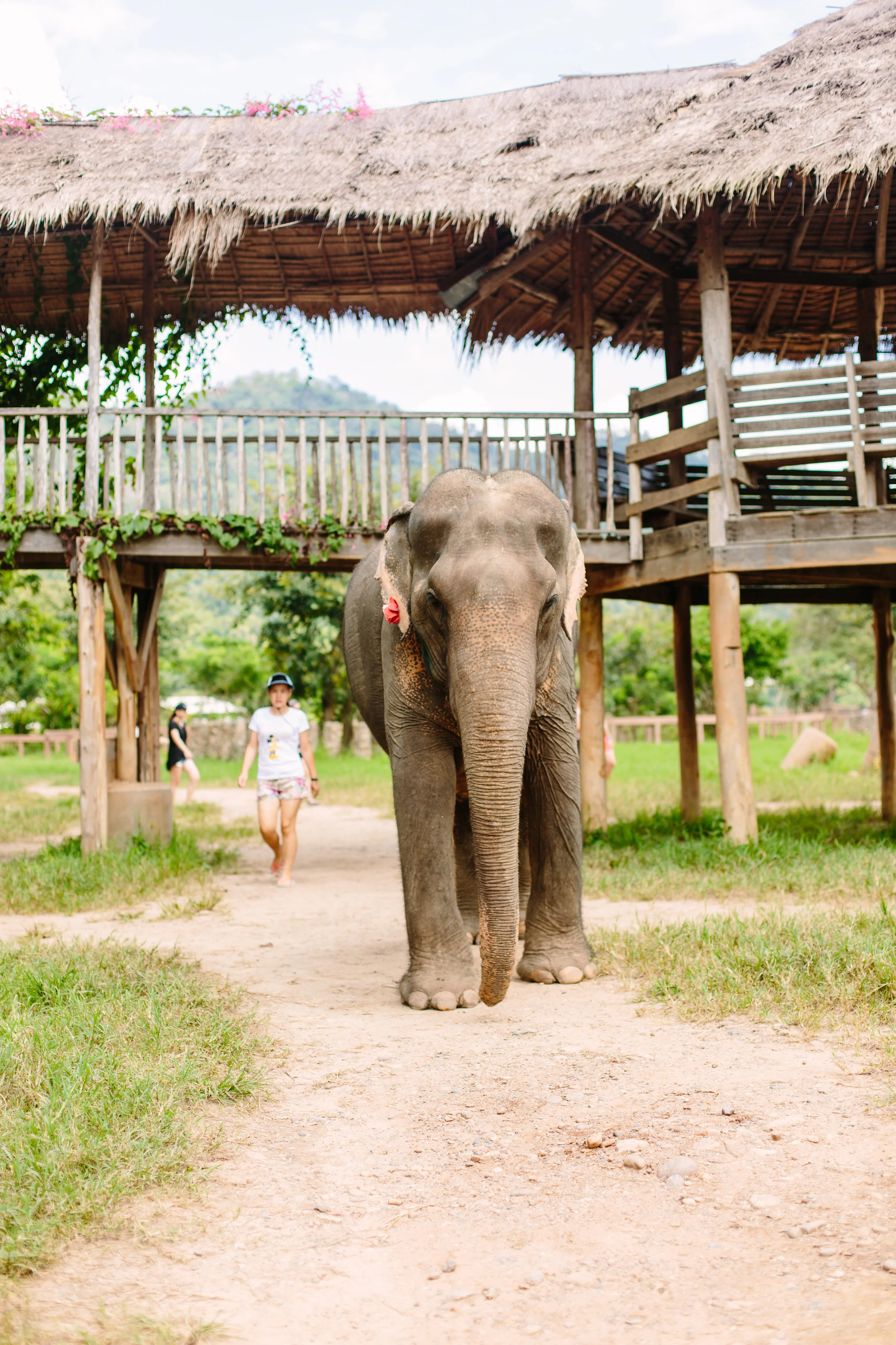 ChiangMai-InternationalPhotographerLauraPedrinoPhoto-35.jpg
