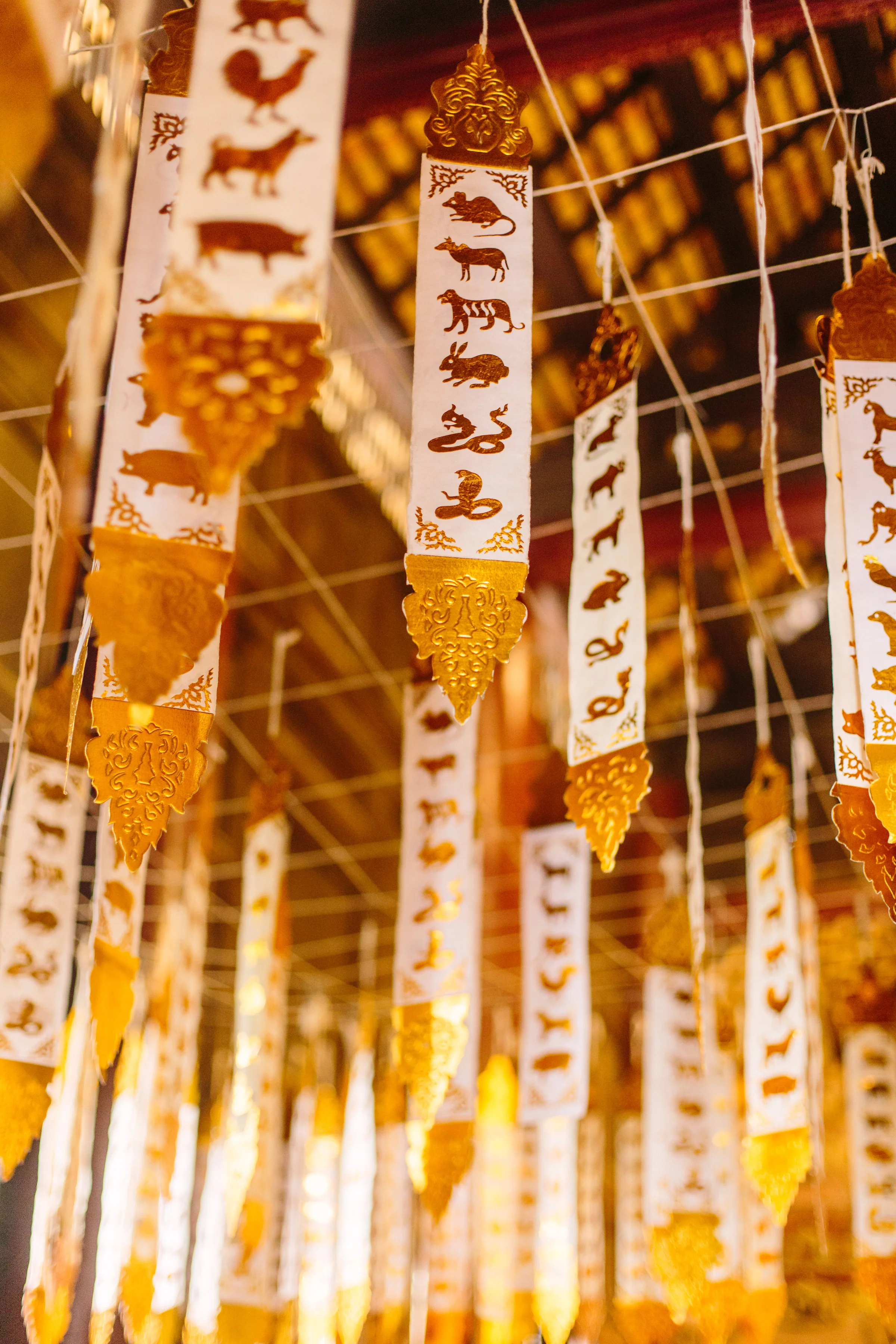 ChiangMai-InternationalPhotographerLauraPedrinoPhoto-10.jpg