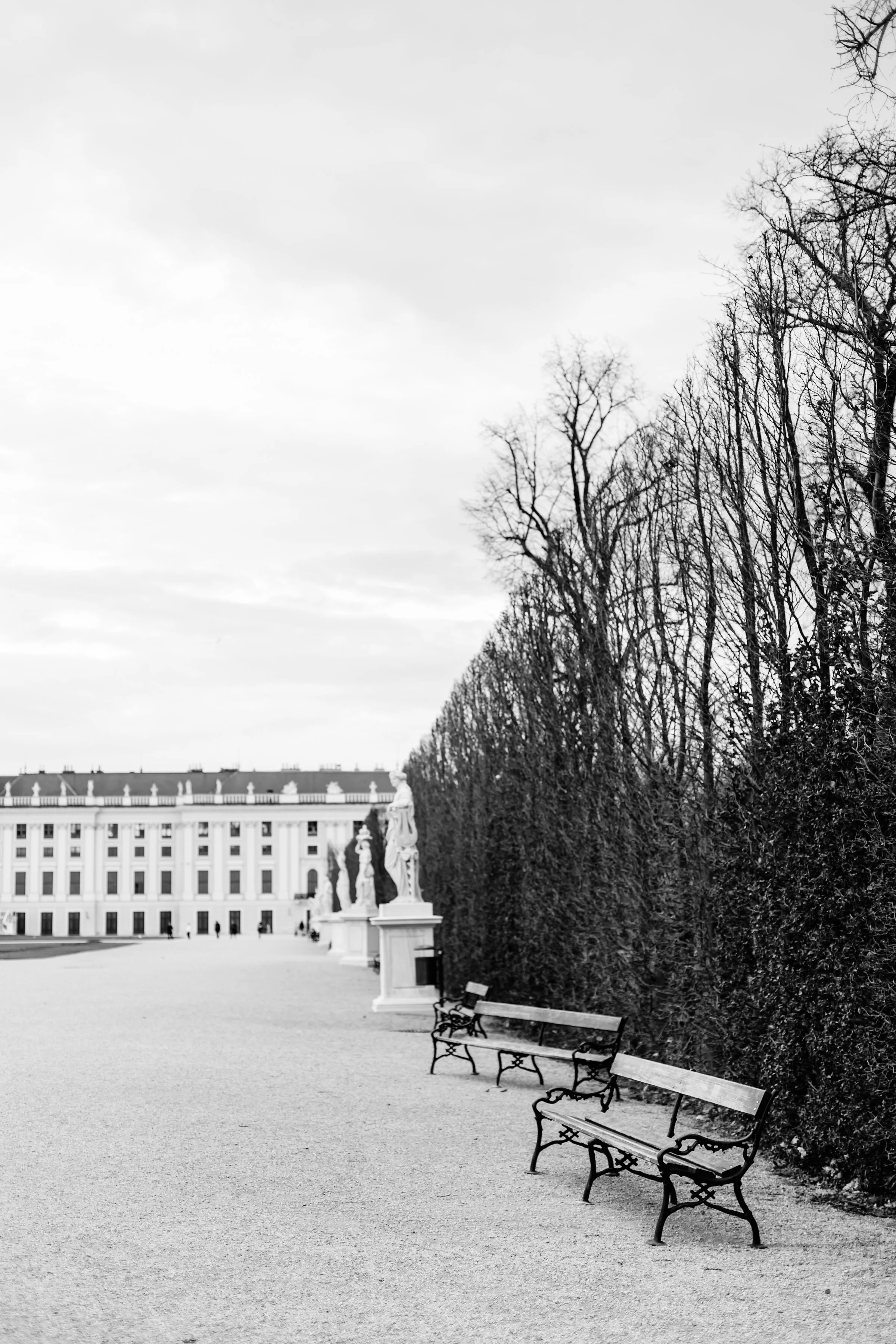 ViennaHighResProofs-LauraPedrinoPhoto-98.jpg
