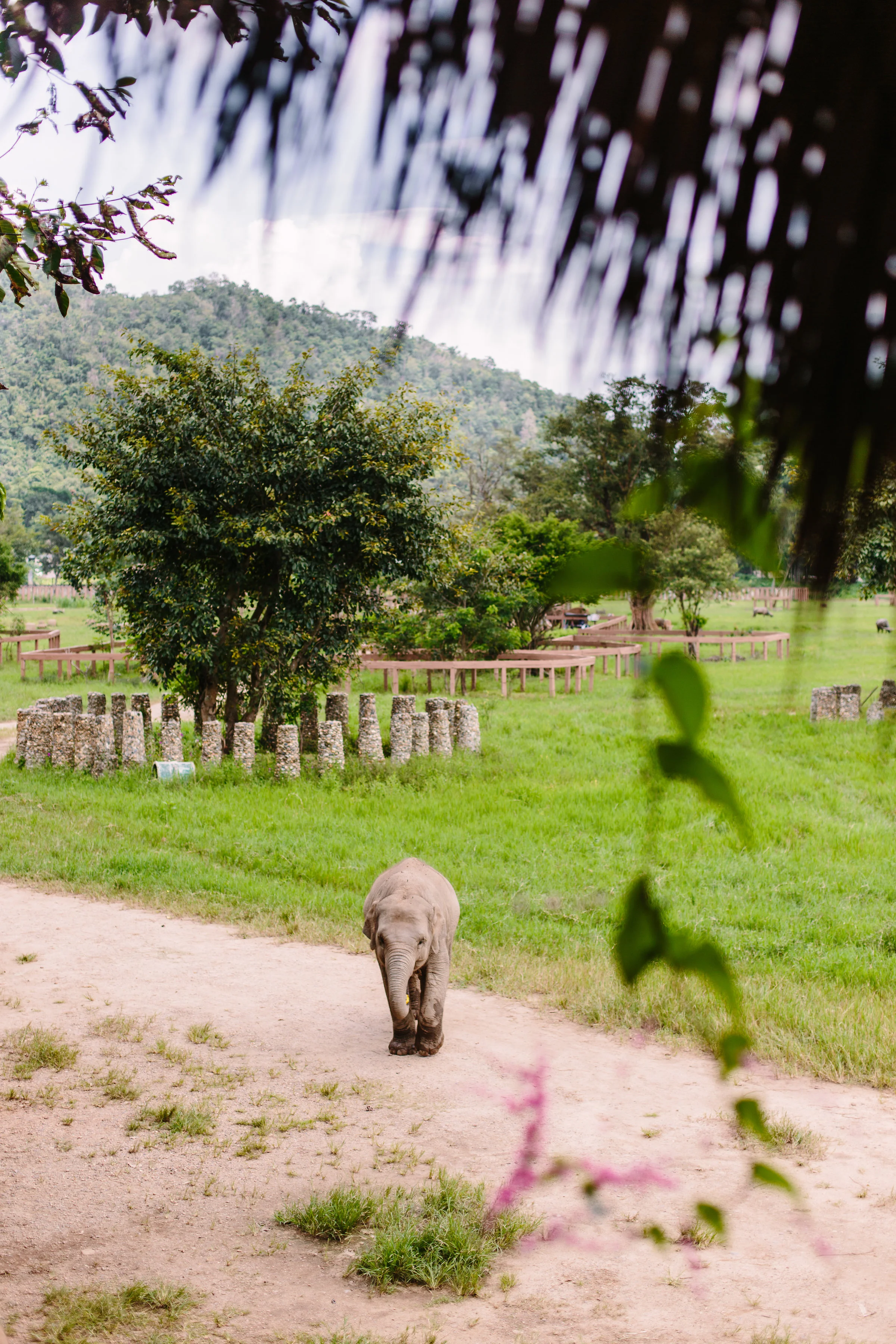 ChiangMai-InternationalPhotographerLauraPedrinoPhoto-43.jpg