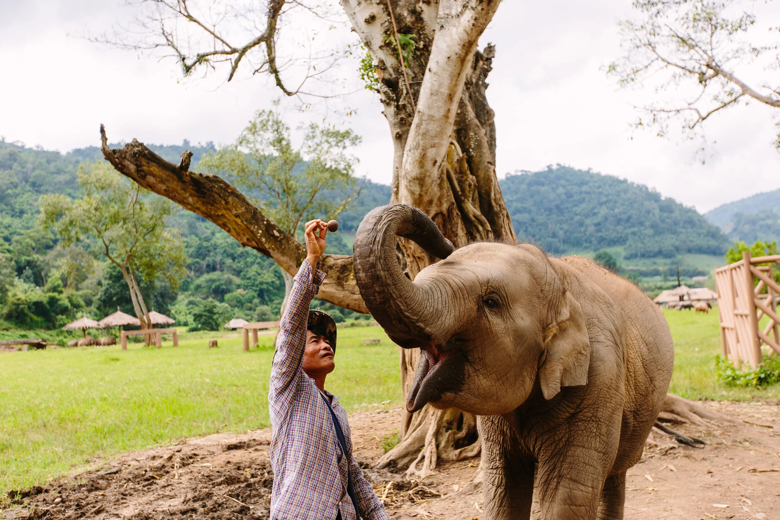 ChiangMai-InternationalPhotographerLauraPedrinoPhoto-27.jpg