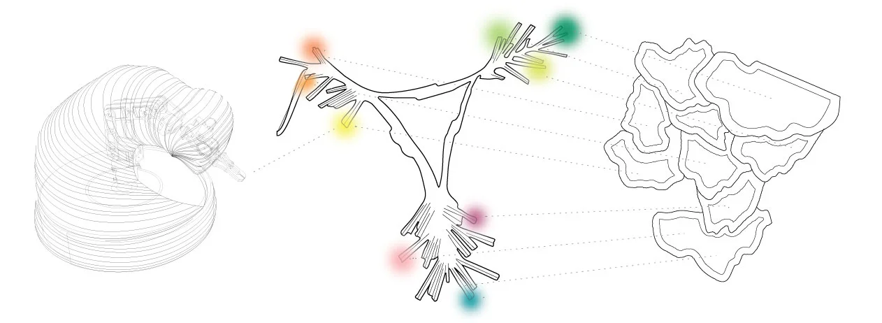 Robot chooses Crystal Seed based on specific color parameters.