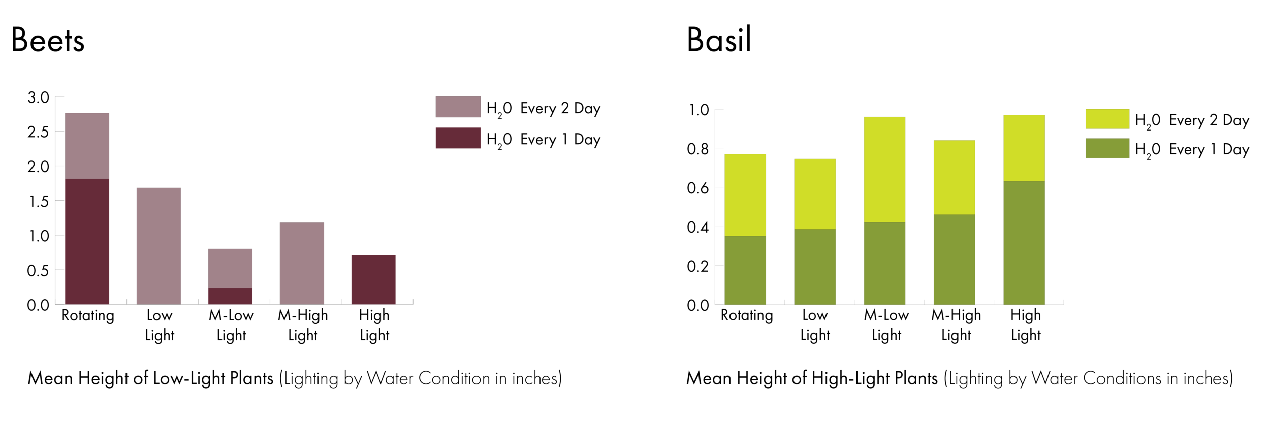 tables_beets-basil-t-01.png