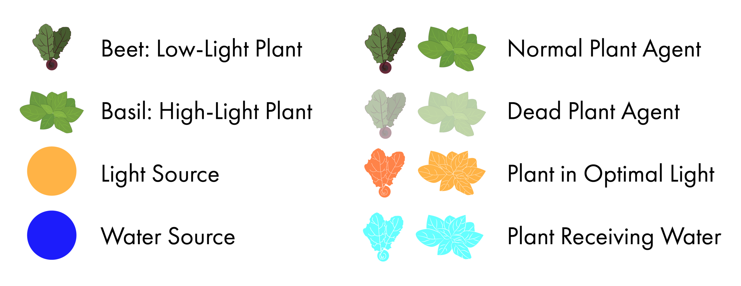plant-key-images-c-01.png