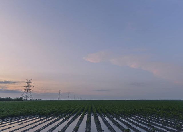 Flooded potato fields this past summer. 
#achangingclimate #landuse #field #toomuchrain #climatejustice #neverland