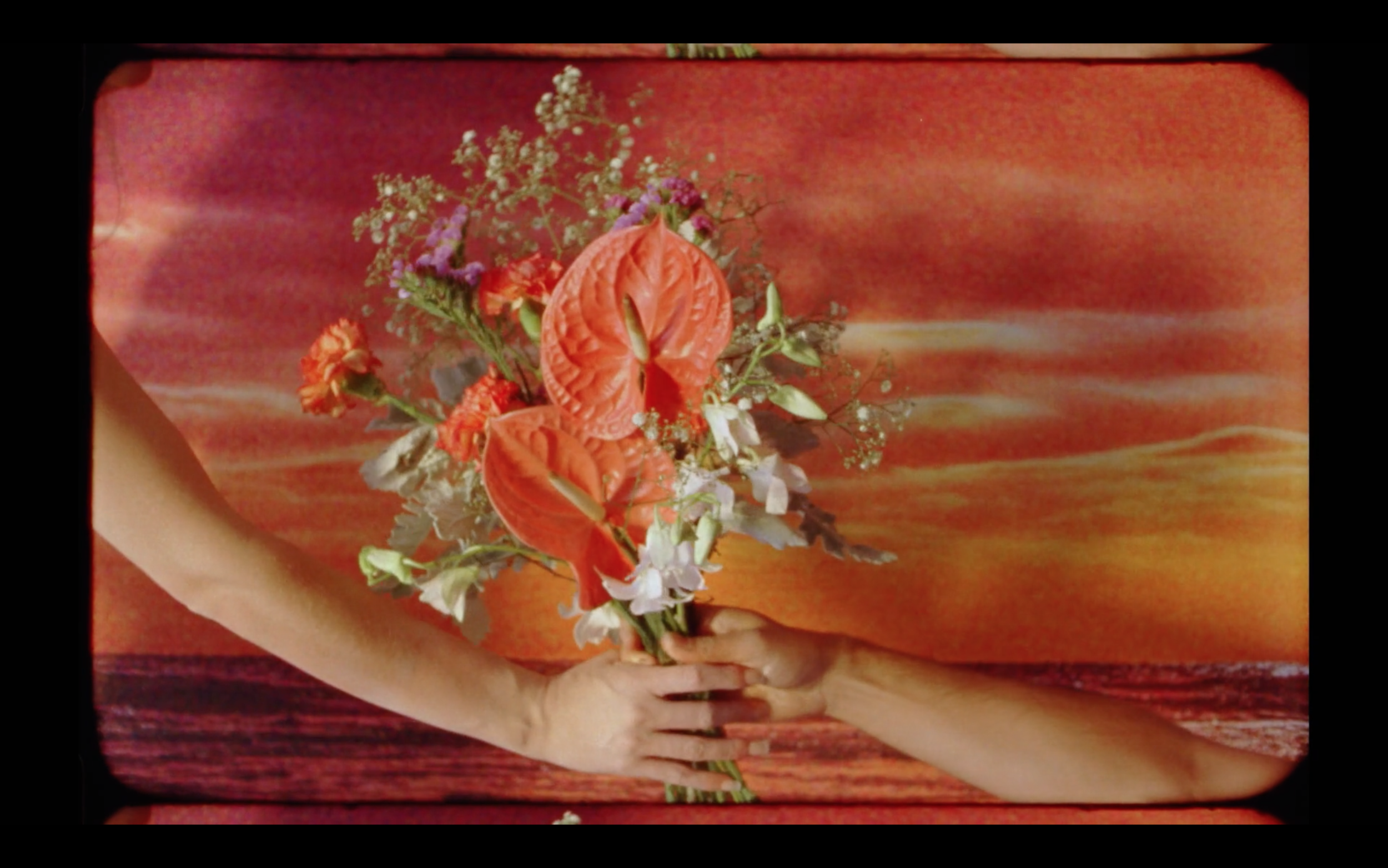 Screen Shot 2018-08-07 at 10.57.48 AM.png