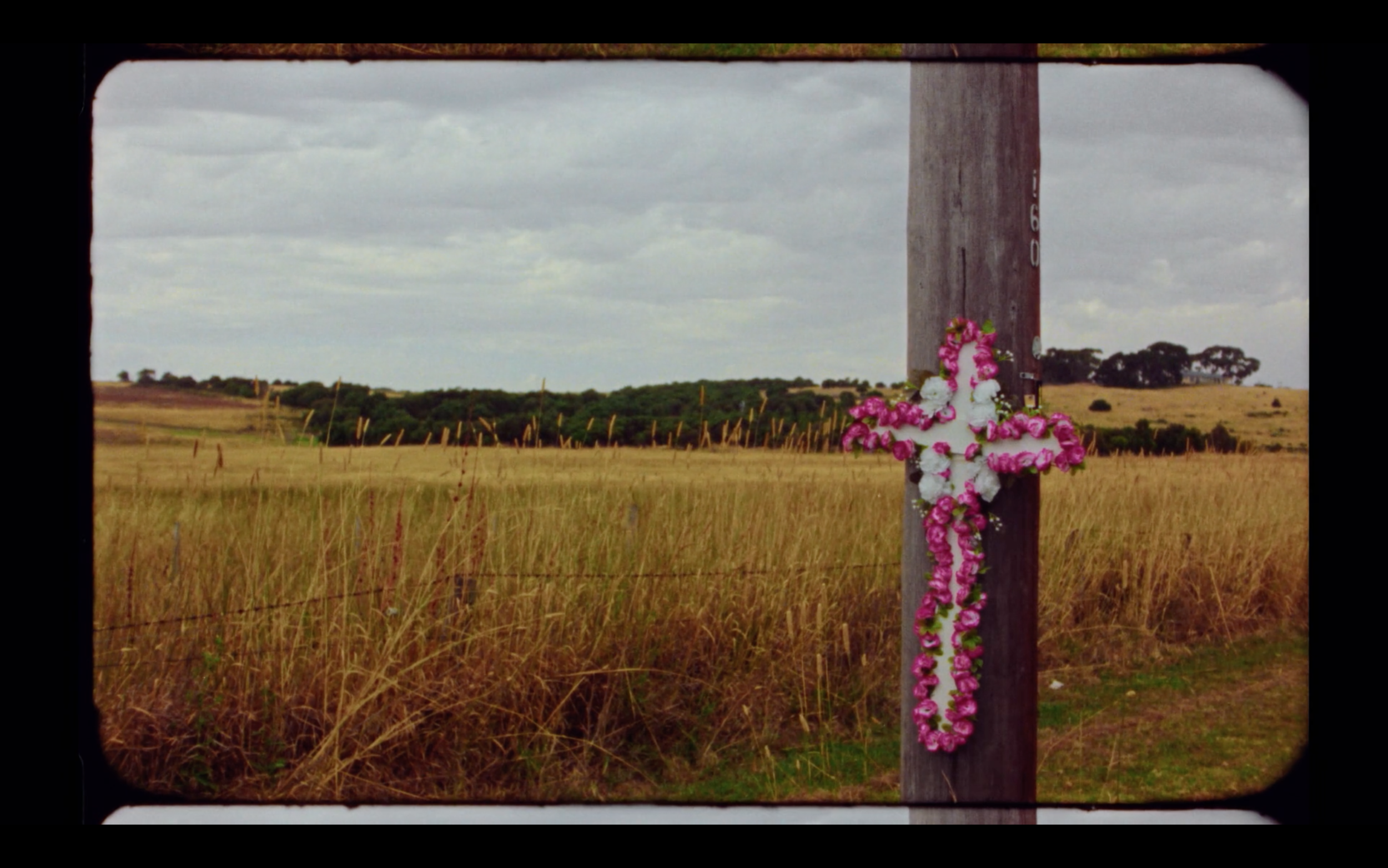 Screen Shot 2018-08-07 at 10.59.06 AM.png