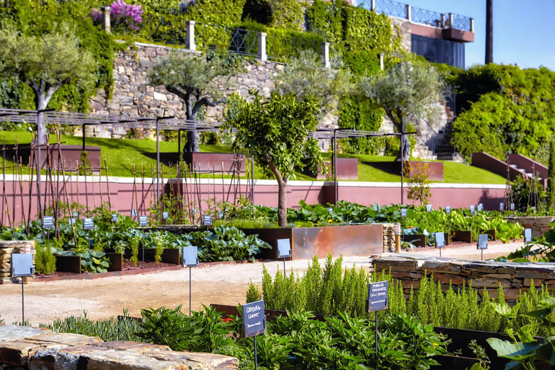 Organic_Garden_detail2_[6468-LARGE].jpg