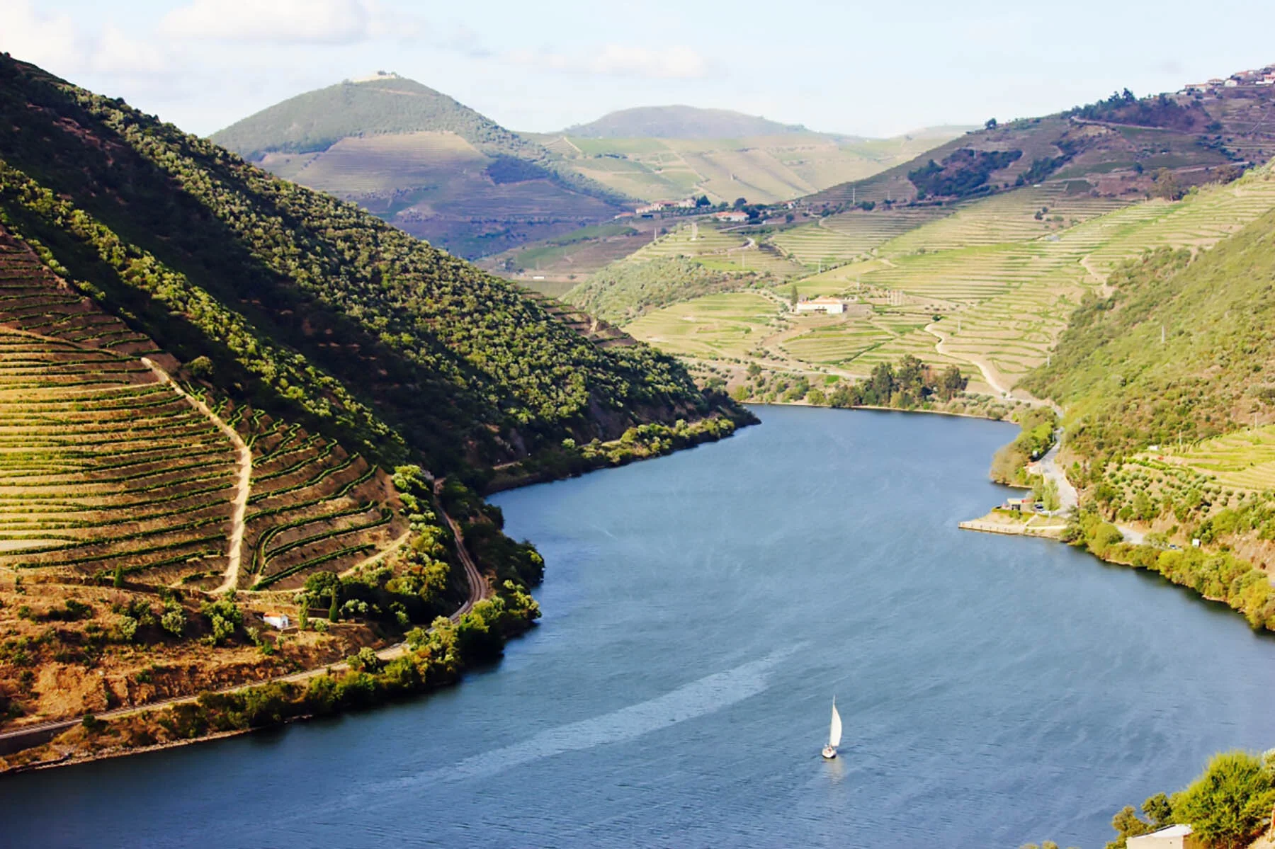 Sailing_through_Douro_River_[6104-LARGE].jpg