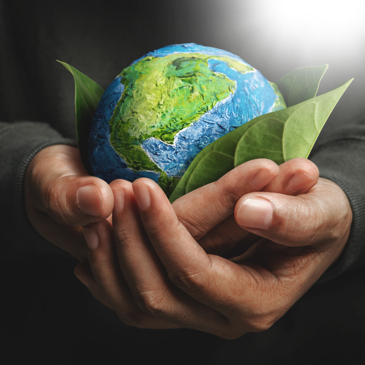 Advancing Green Energy: APS Helps Power a Sustainable Future