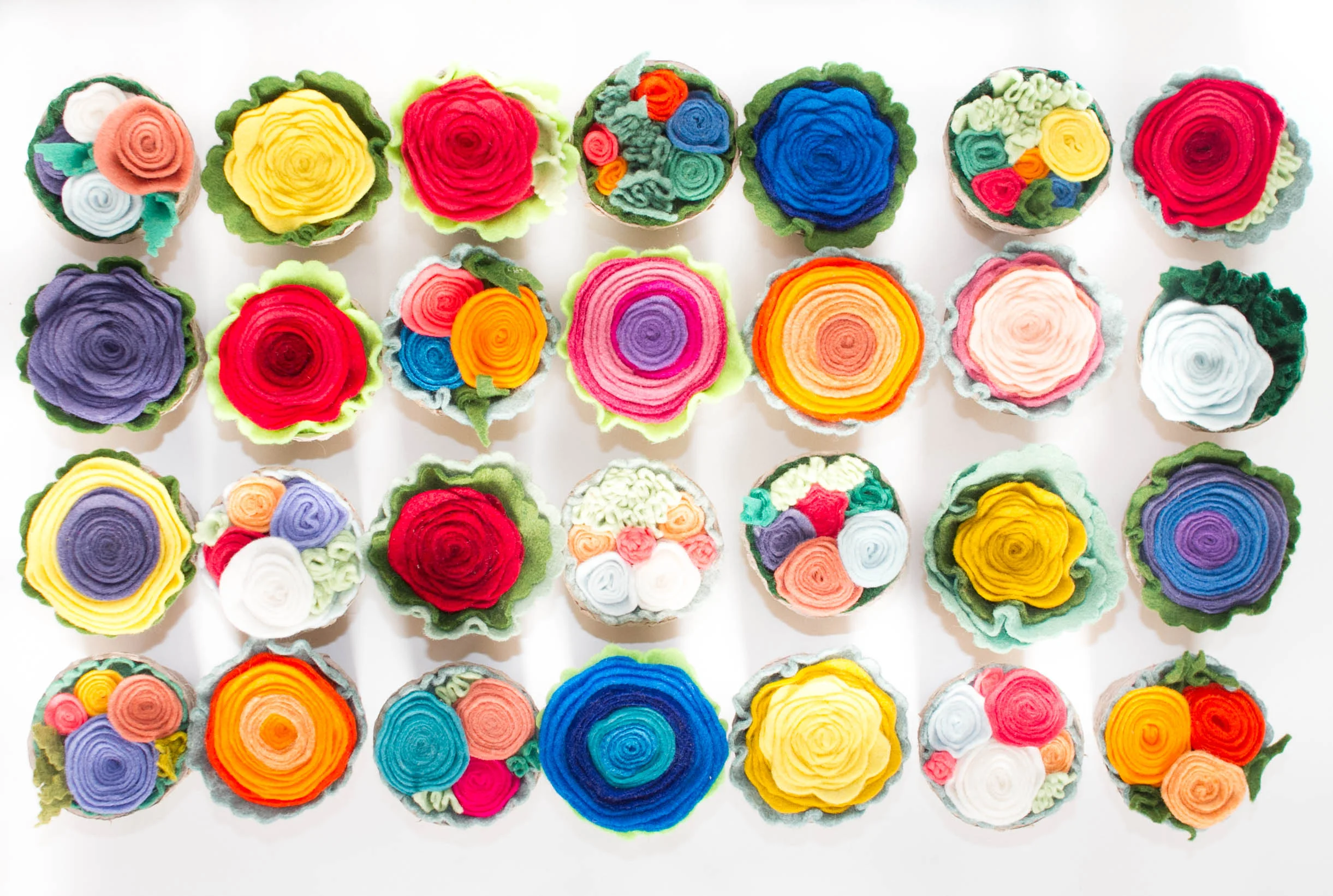 FlowerSpread.jpg