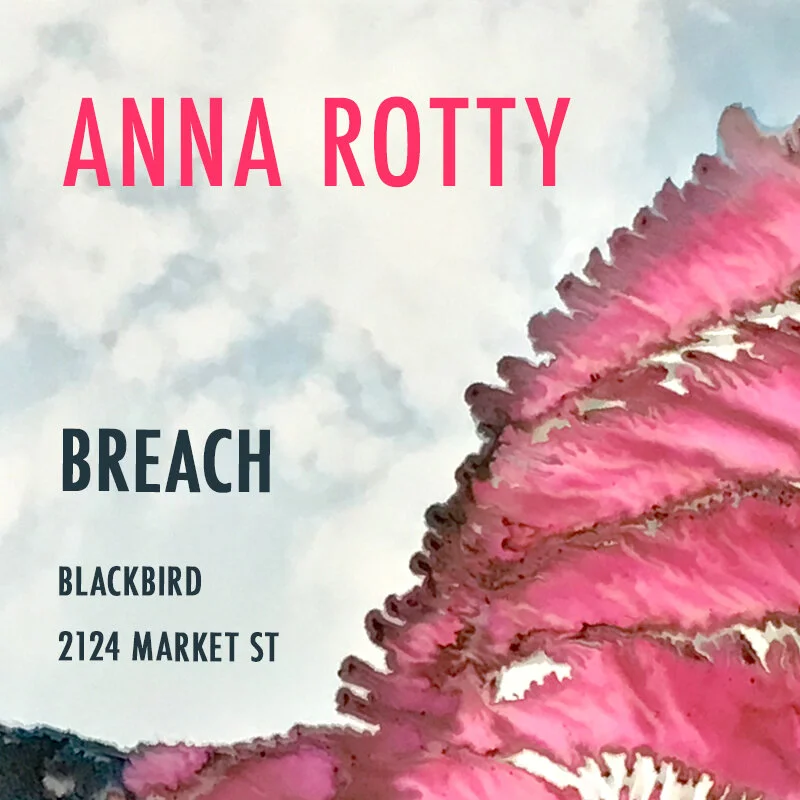 flyer-anna-v2.jpg