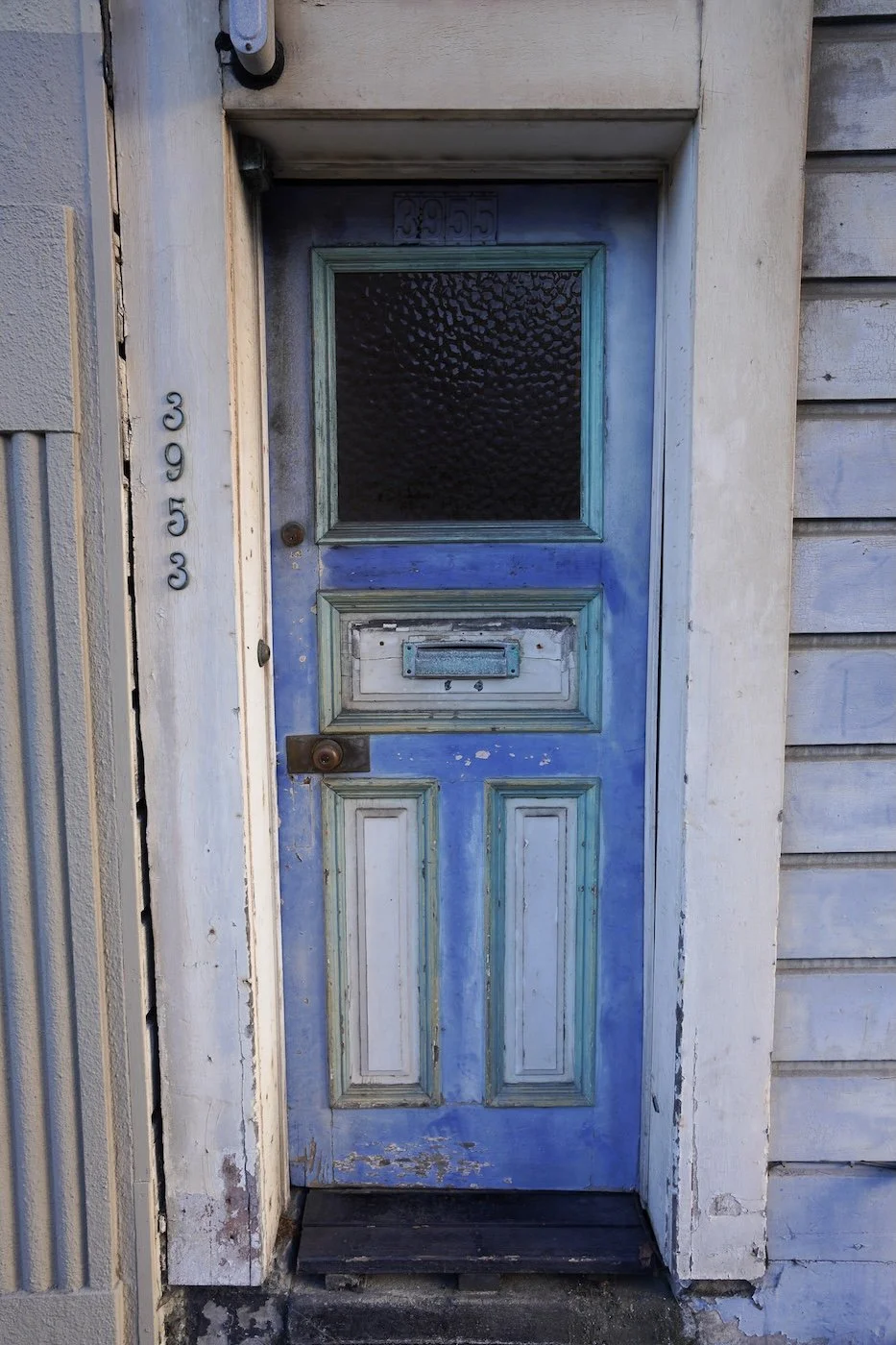DSC05209.jpg