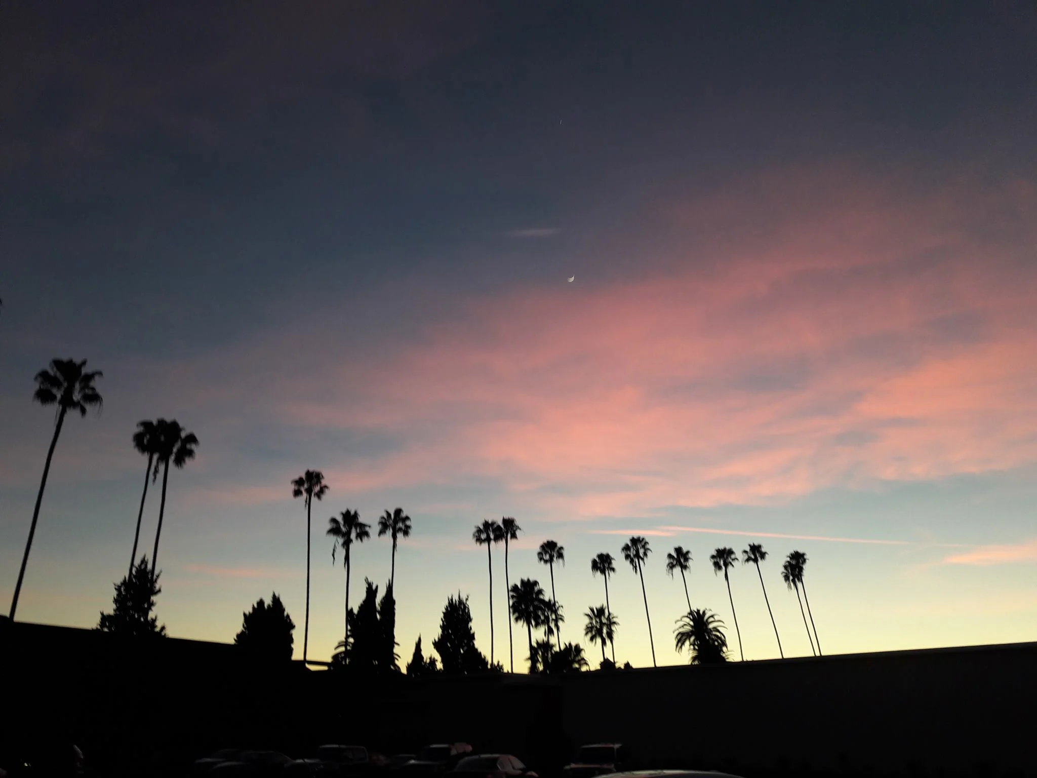 Los Angeles sunset
