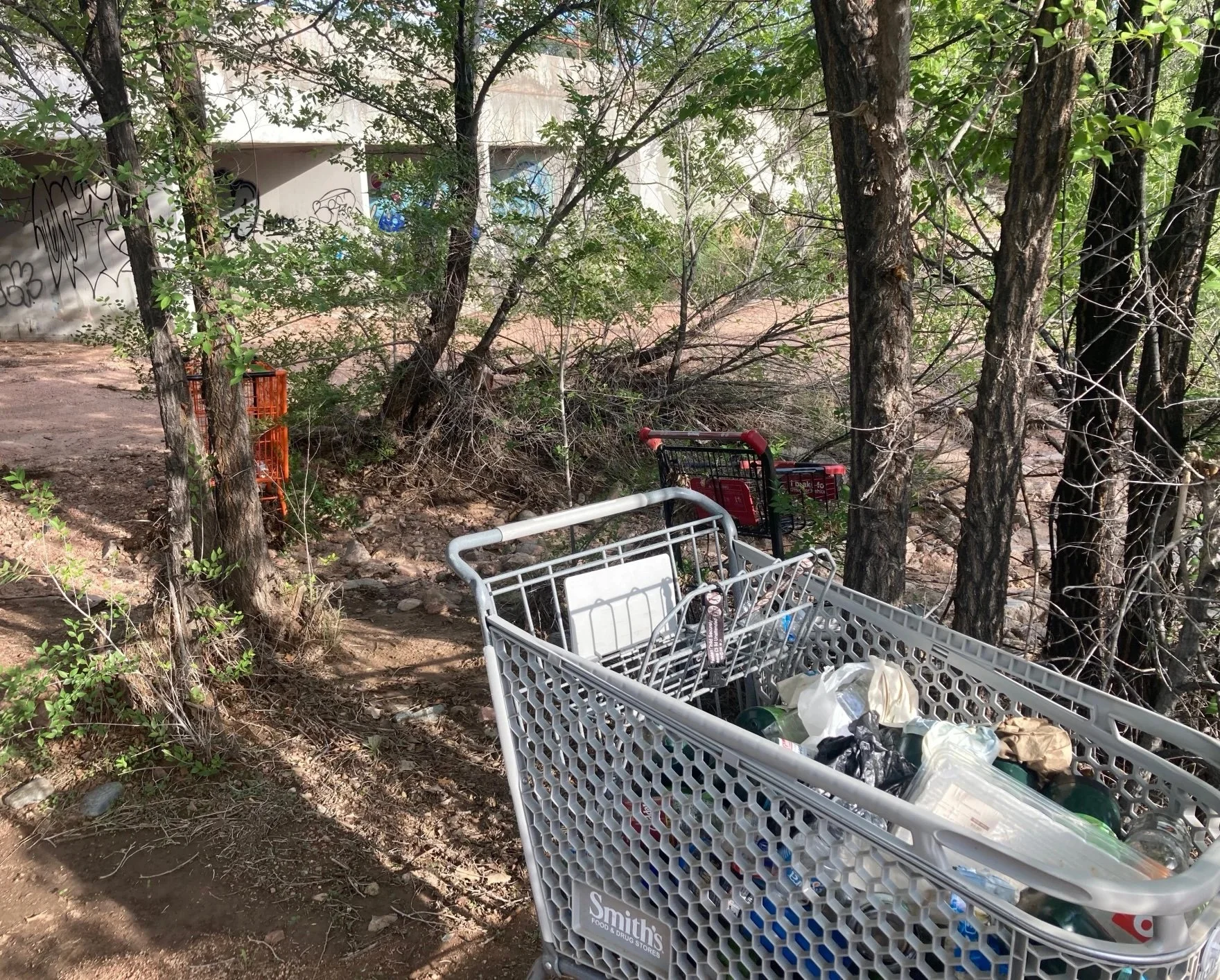 "Parenting at the End of Empire: Reflections on Homelessness in Santa Fe," Source New Mexico