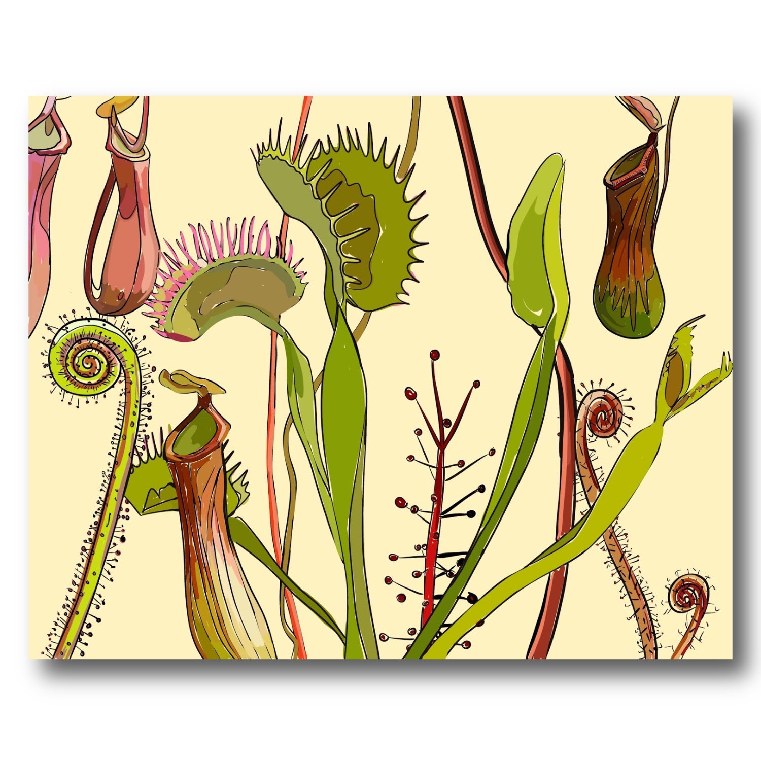 Bold Abstract Botanical Carnivorous Plant Print