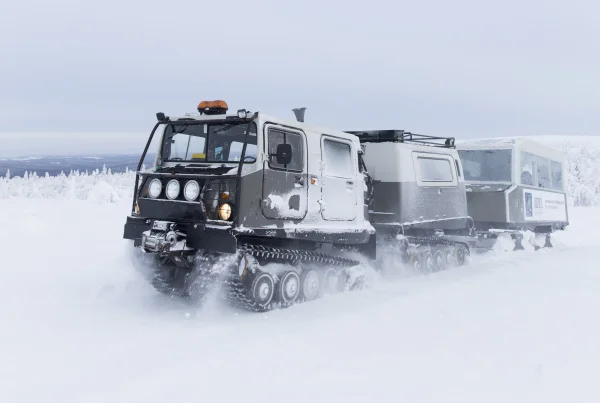 SnowCat_02_0215om.jpg