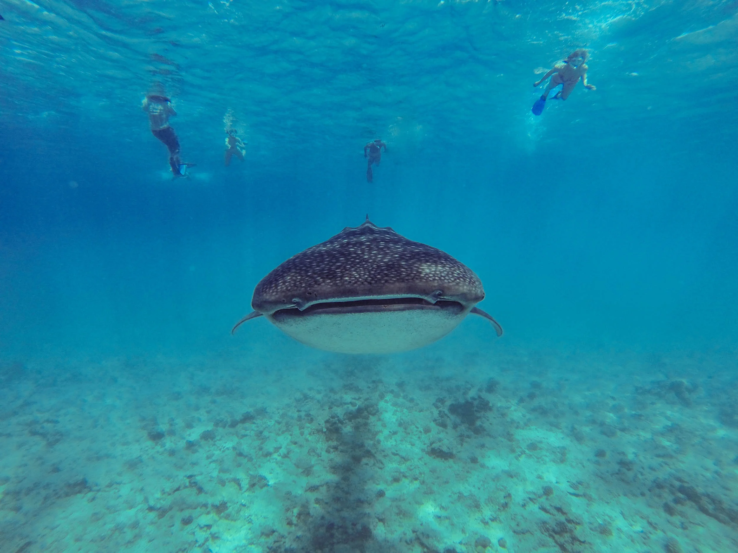 GOPR0009.jpg