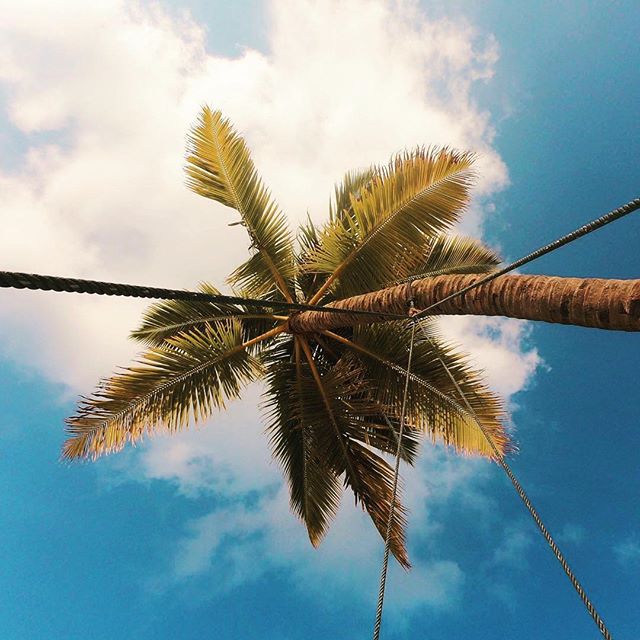 📷 @mia.gnzls
Mornings like this 🌴

#DriftRetreat #Maldives