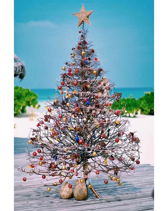 Merry Christmas from Drift Retreat! 🎄🎄🎄 #Maldives #DriftRetreat