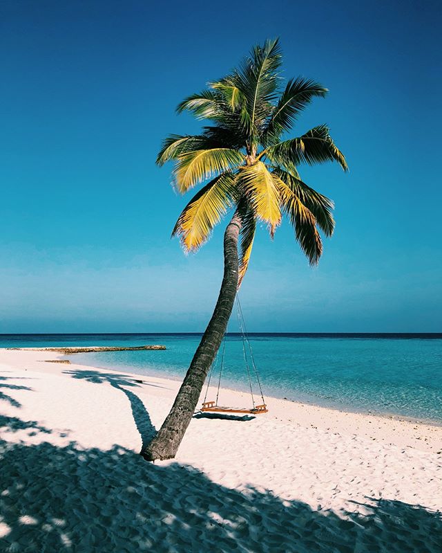 Beach O'Clock 😎

#DriftRetreat #Maldives