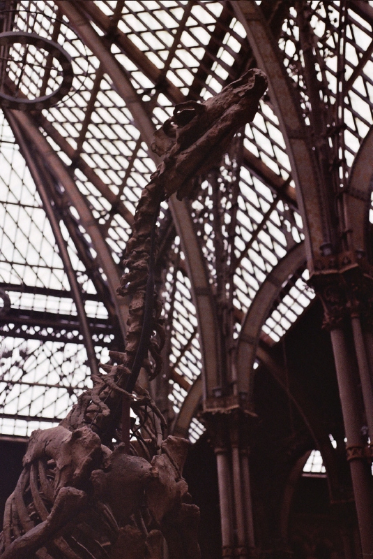 Oxford University Museum of Natural History