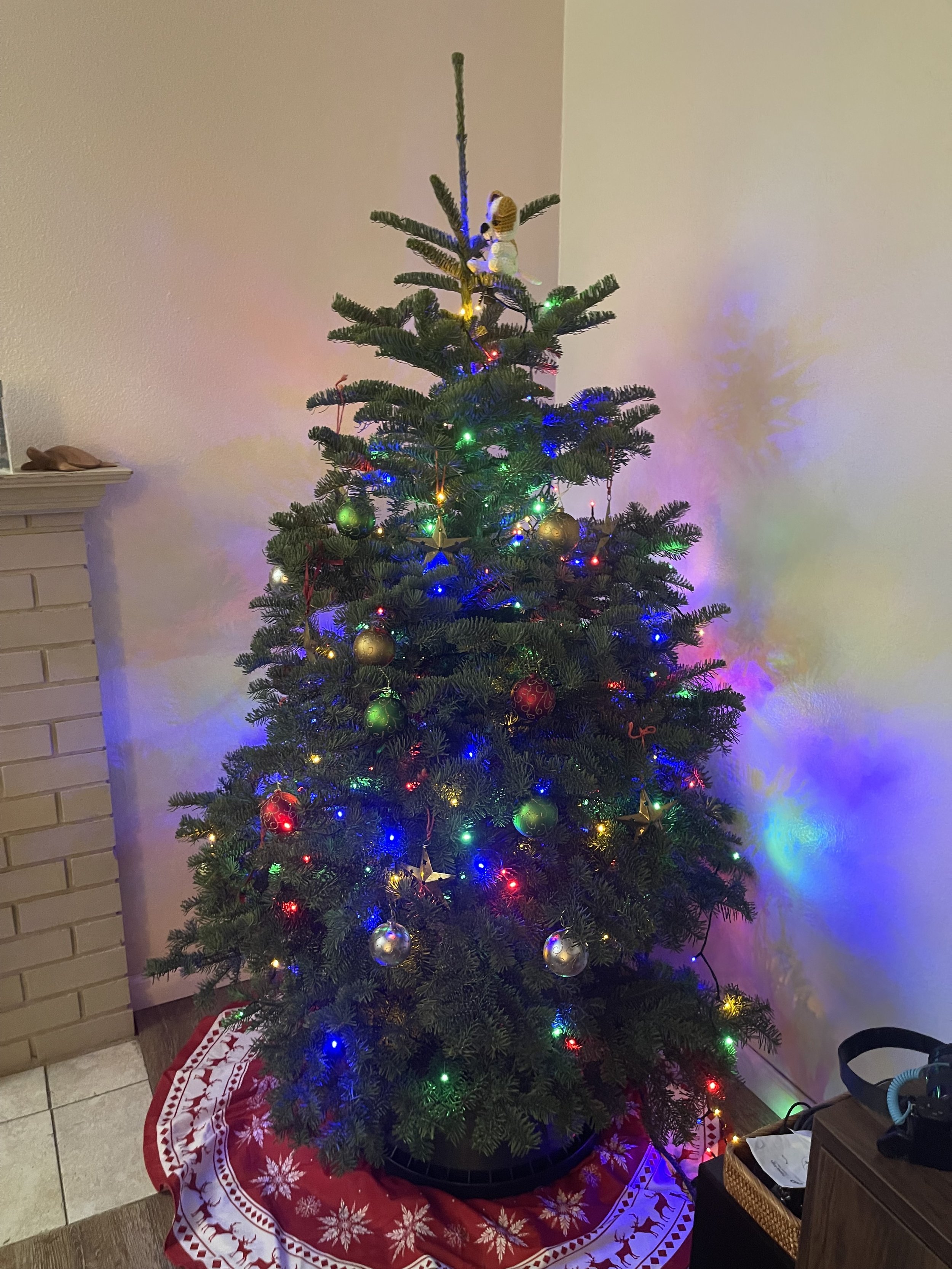 IMG_9201.jpeg