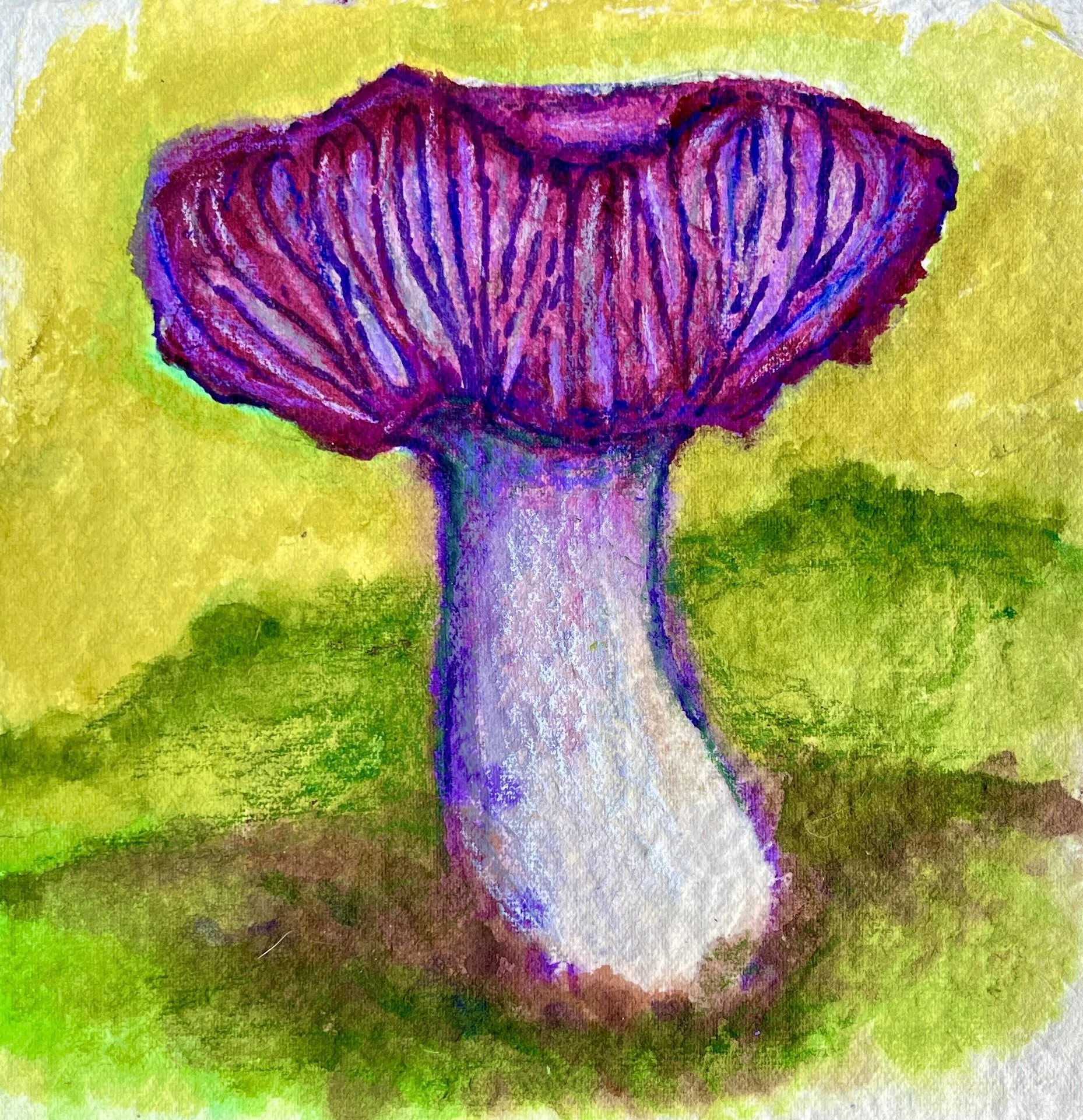 Mushroom Water Colors