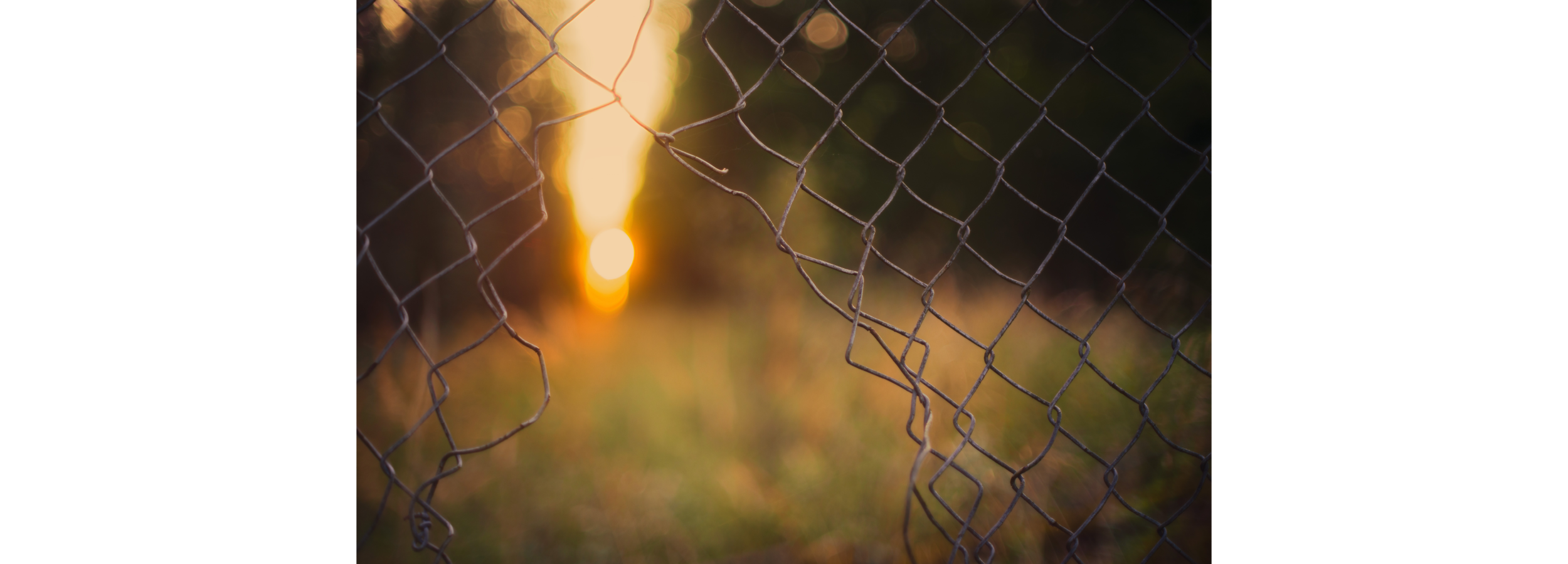 fences cities.png