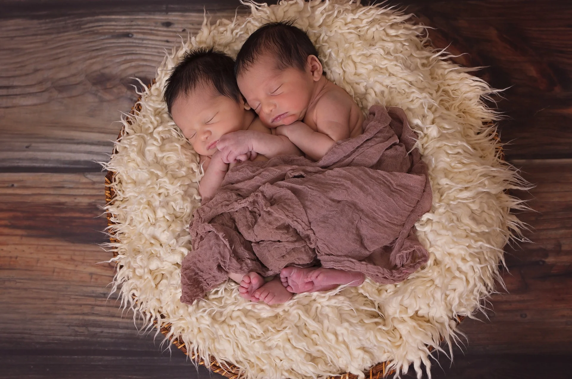 twins-1628843_1920-2.jpg